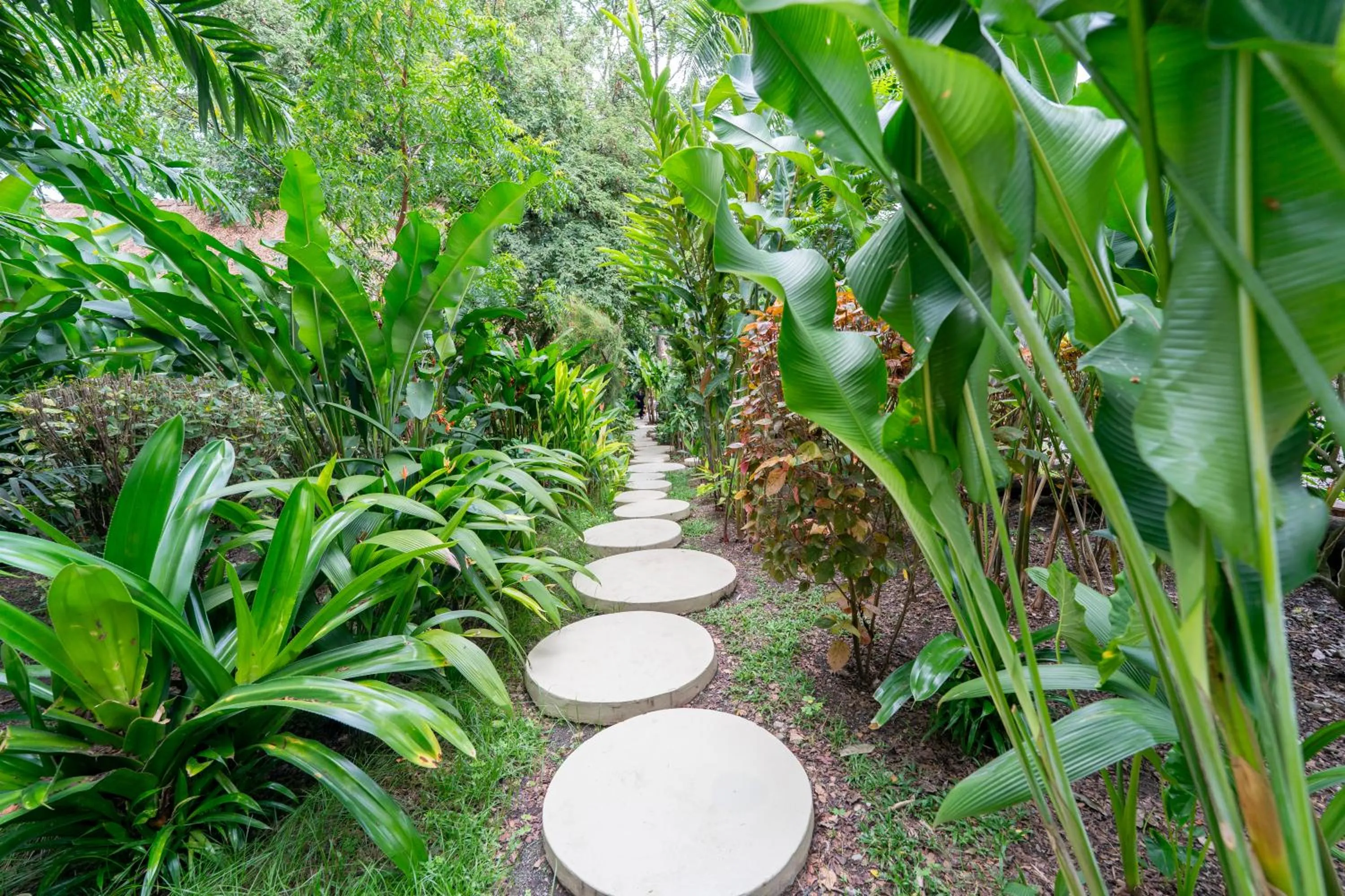 Garden in Nativa Refugio Escondido