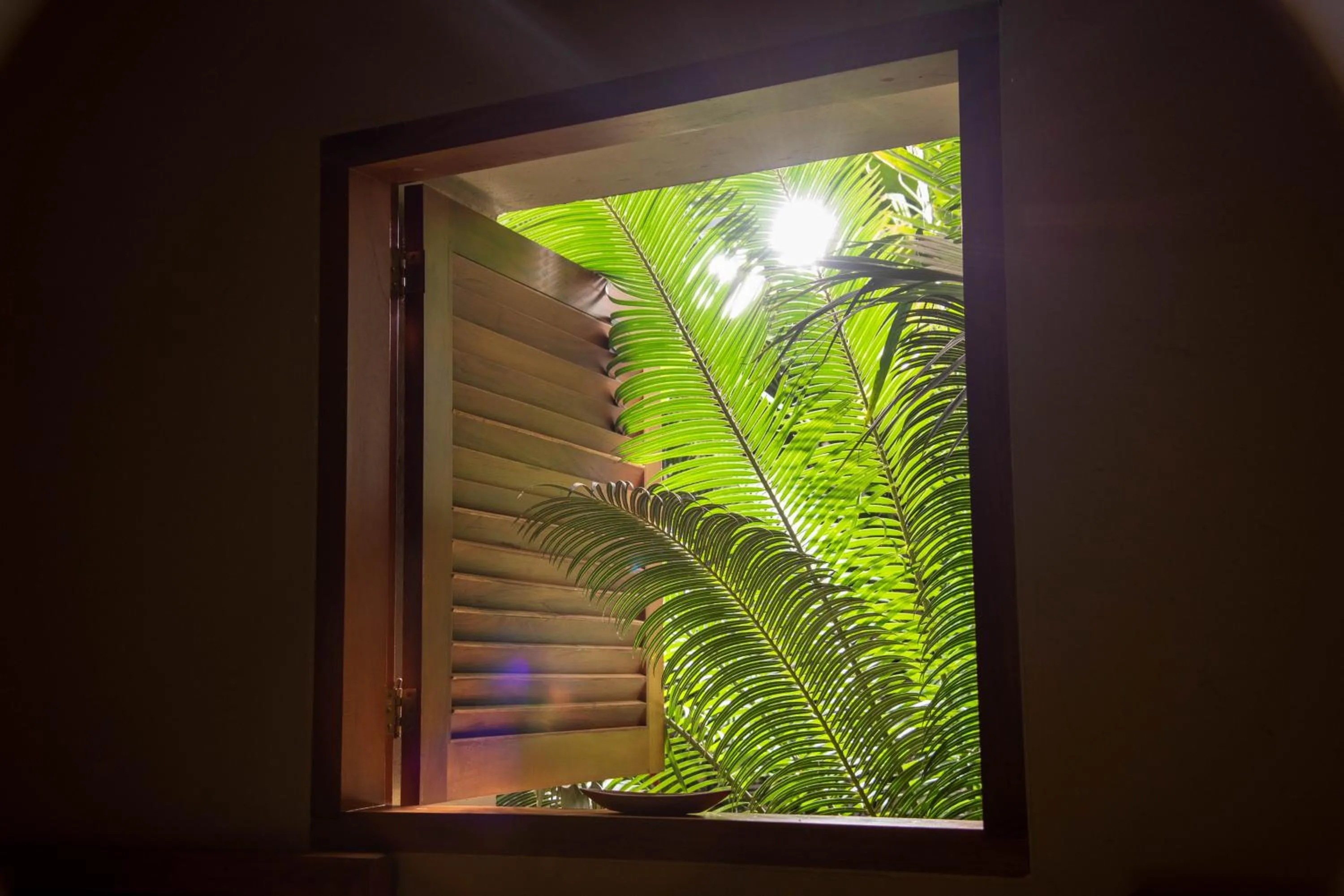 Natural landscape in Nativa Refugio Escondido