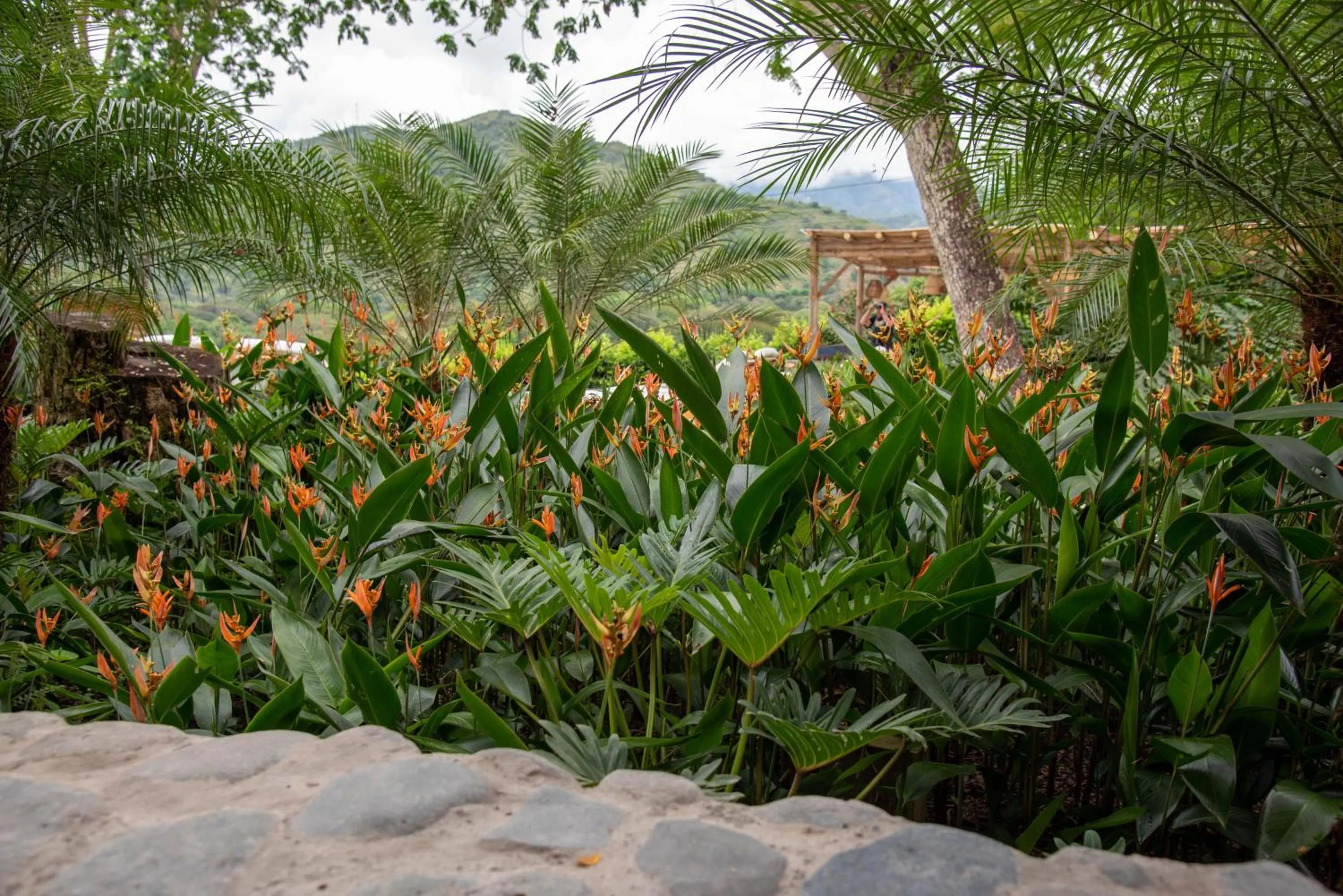 Natural landscape in Nativa Refugio Escondido
