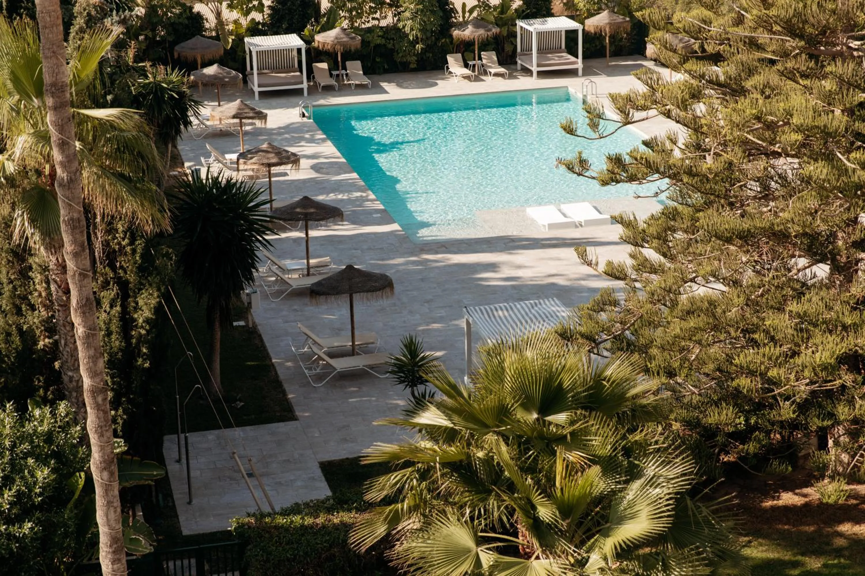 Garden in Hotel Almirante