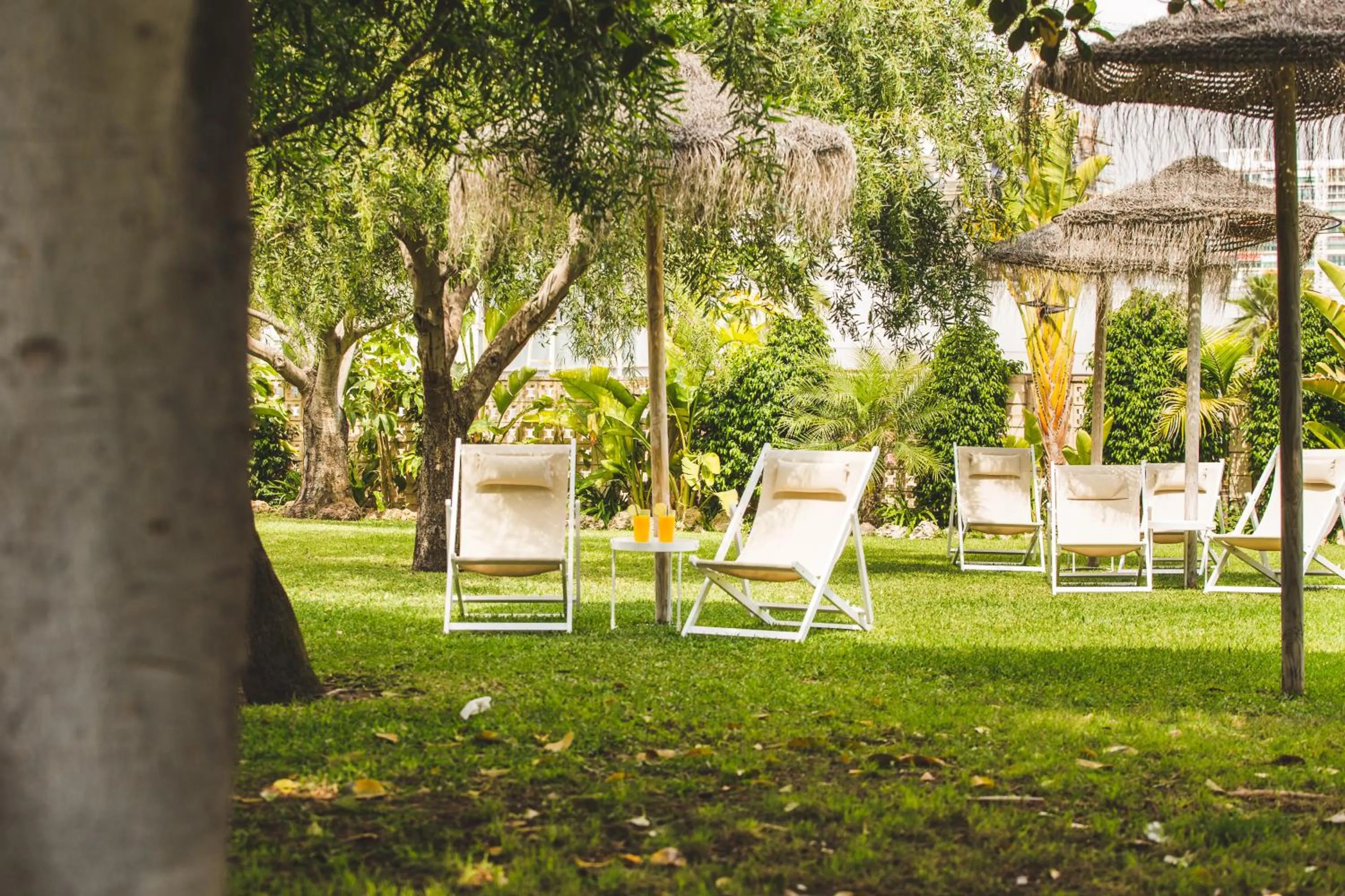 Garden in Hotel Almirante