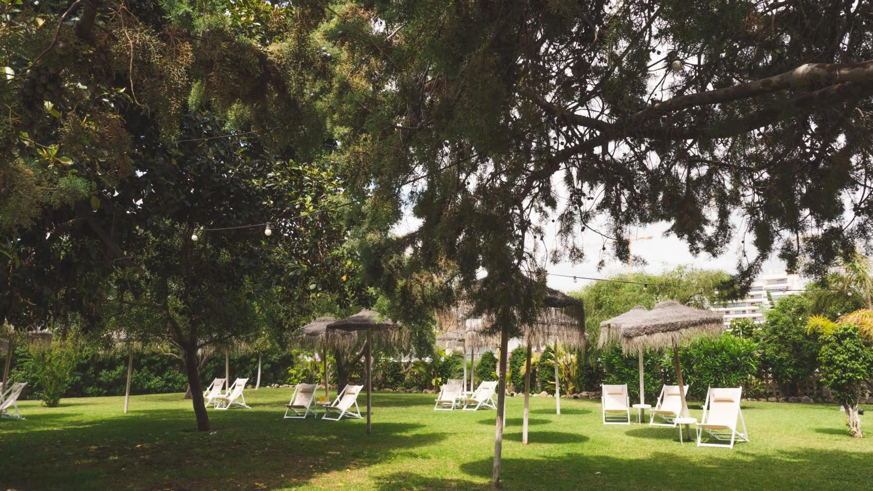 Garden in Hotel Almirante