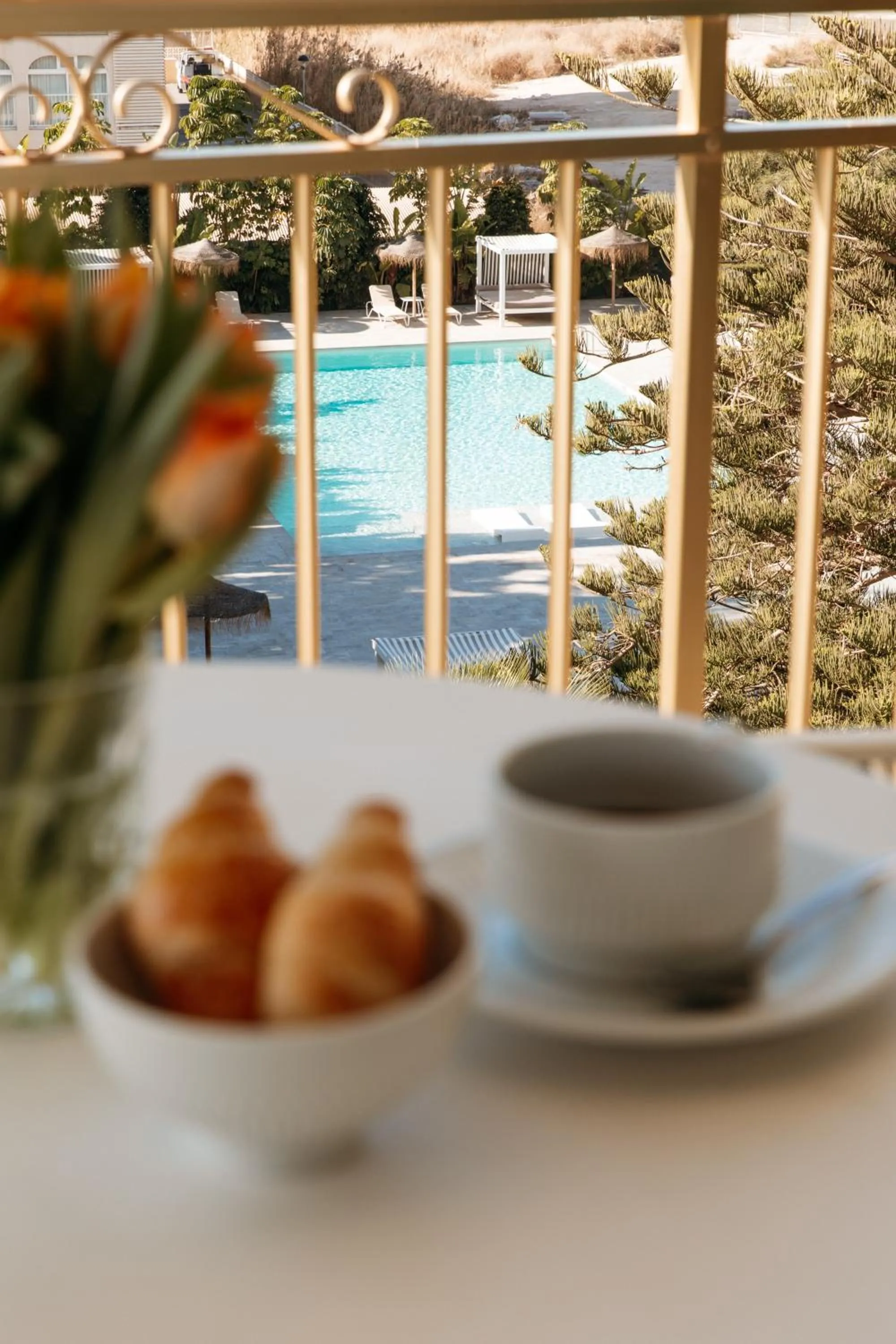 Pool view in Hotel Almirante