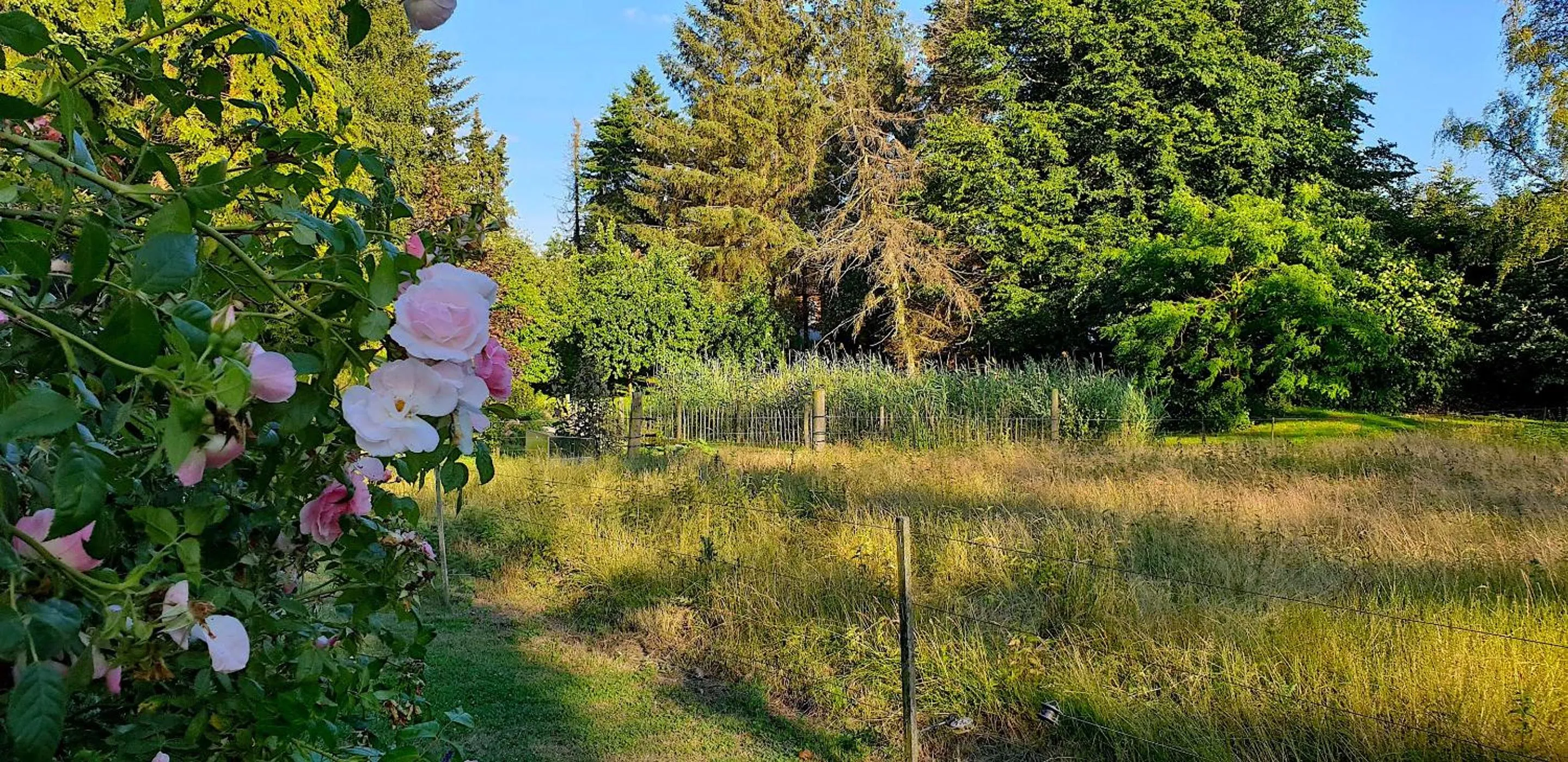 Natural landscape in Farmors Hus