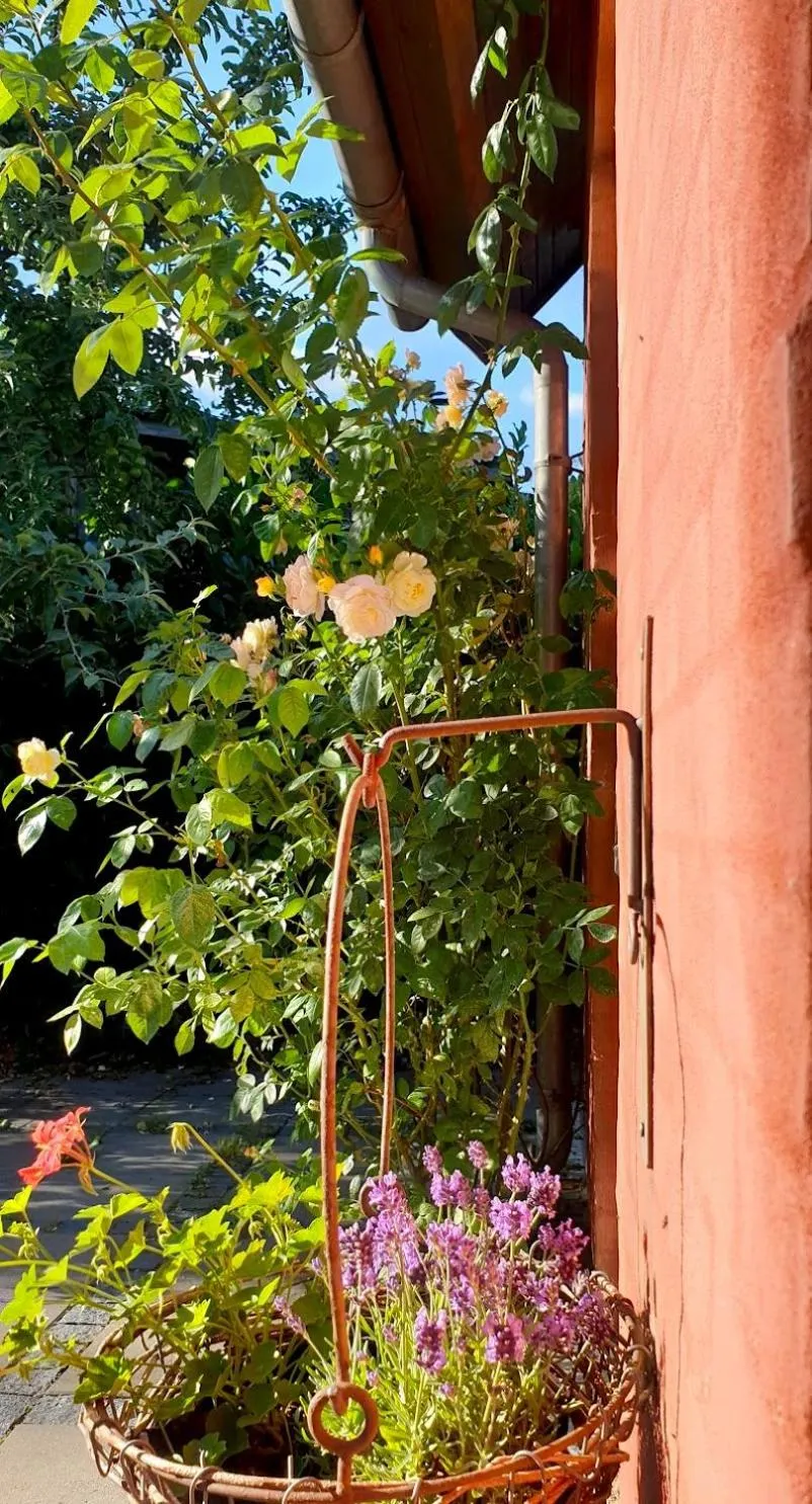 Garden in Farmors Hus