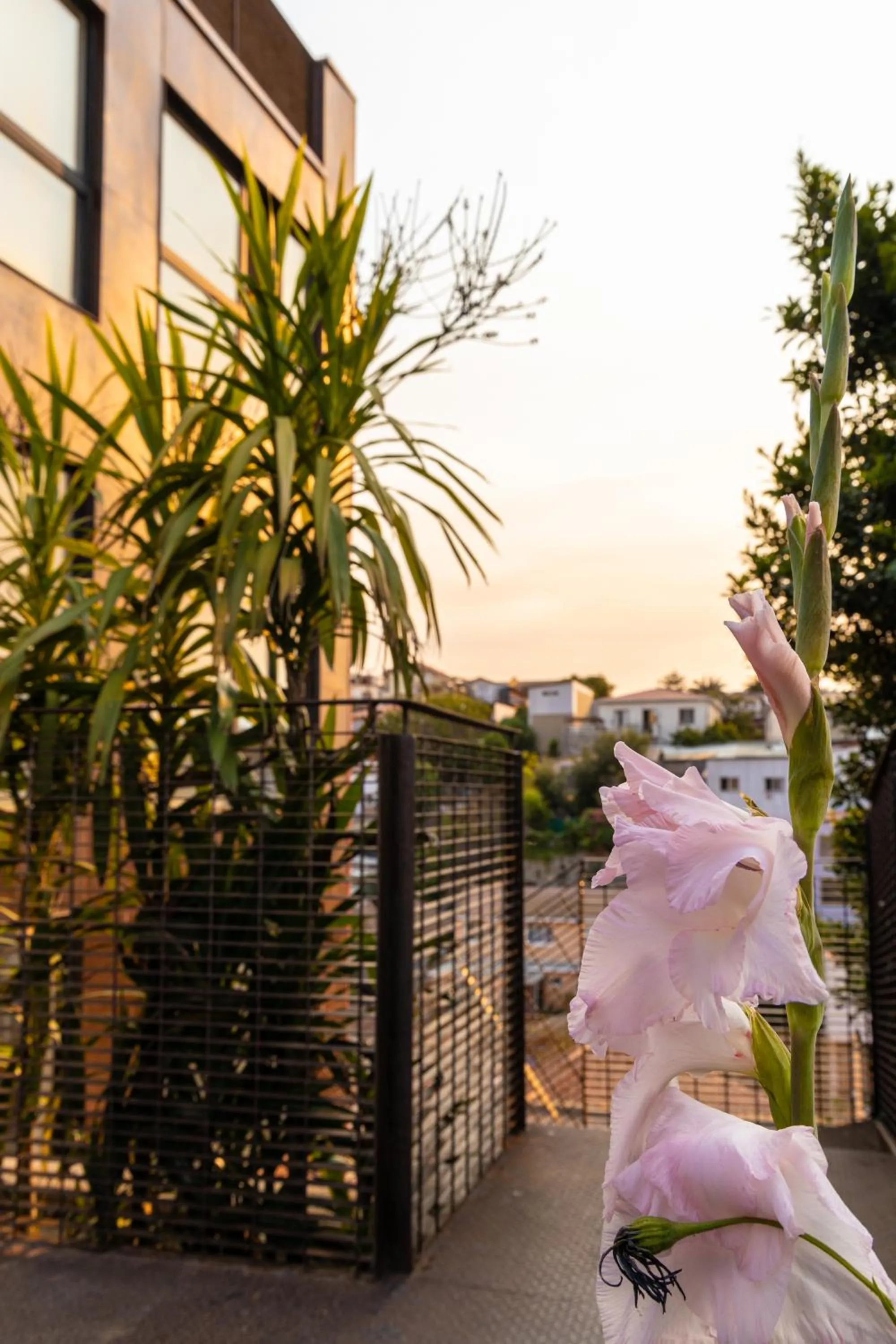 Property building in Hotel Boutique Ossido Nero