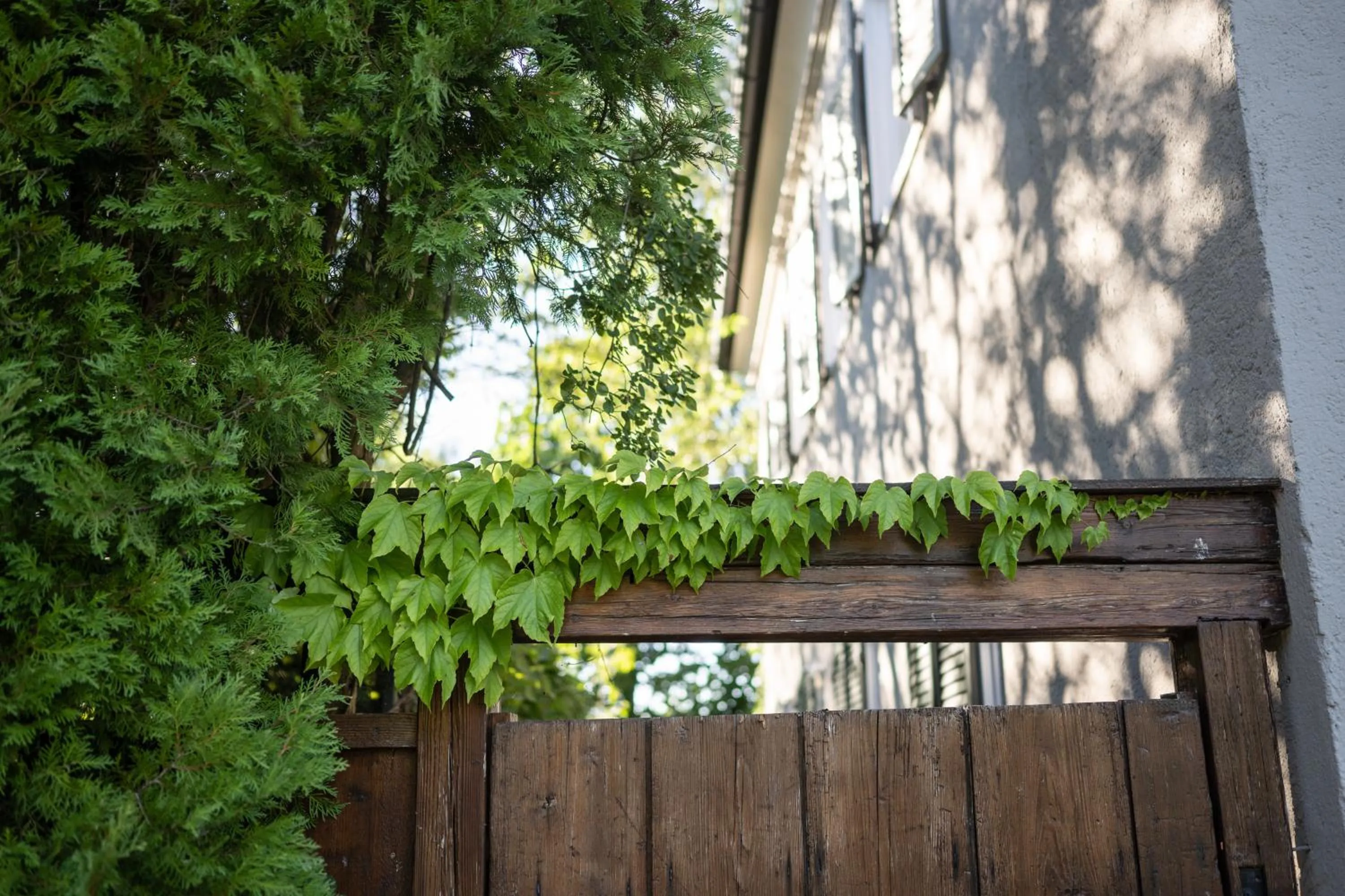 Property building in Lukas Kapeller Hotel und Restaurant