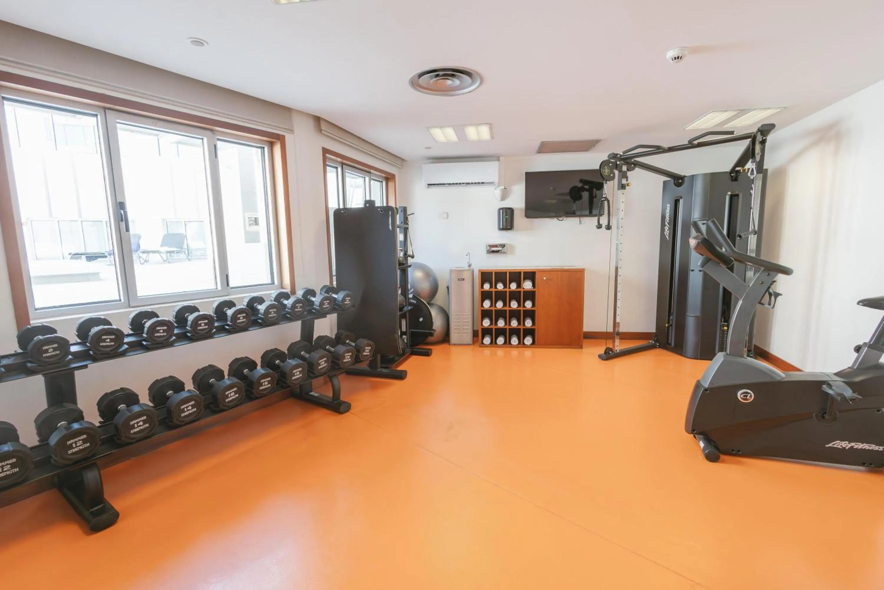 Activities in Port Azafata Valencia