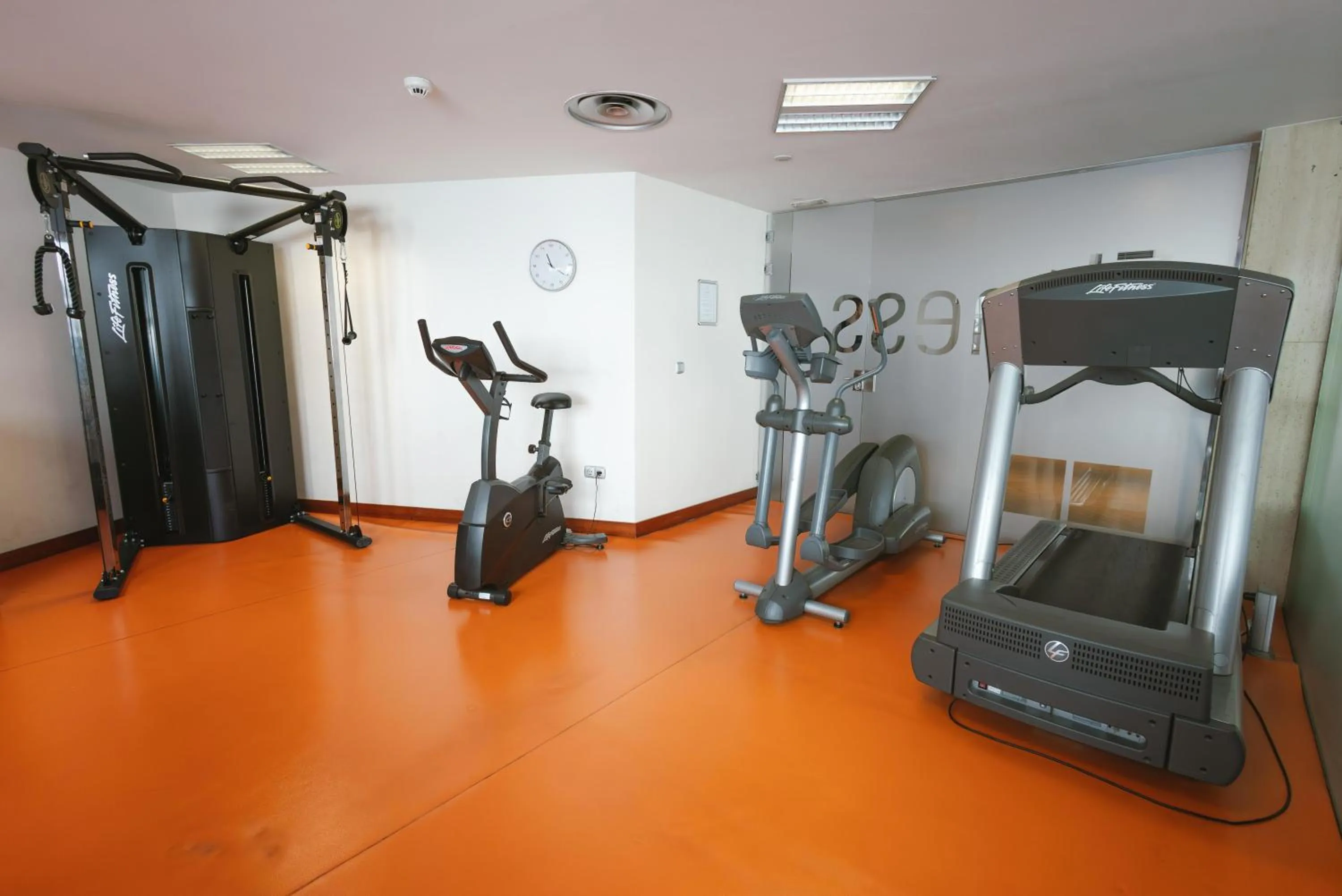 Activities in Port Azafata Valencia