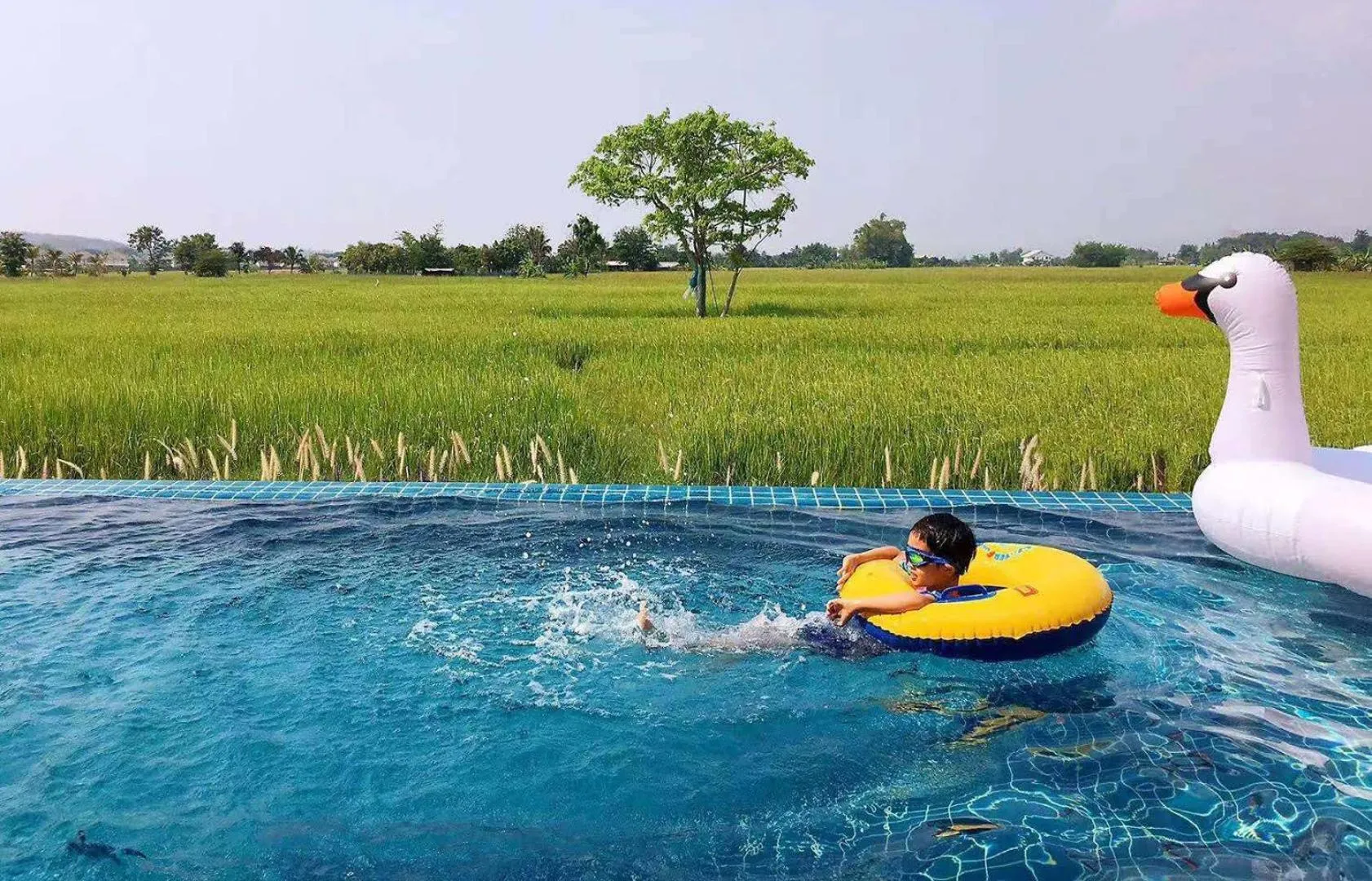 Natural landscape in Rice Villa Chiang Mai