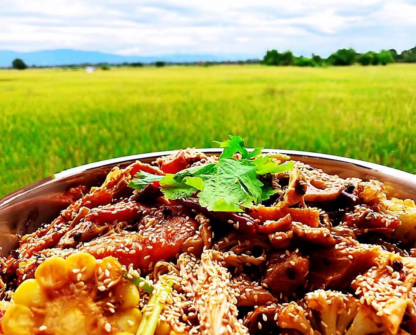 Restaurant/places to eat in Rice Villa Chiang Mai