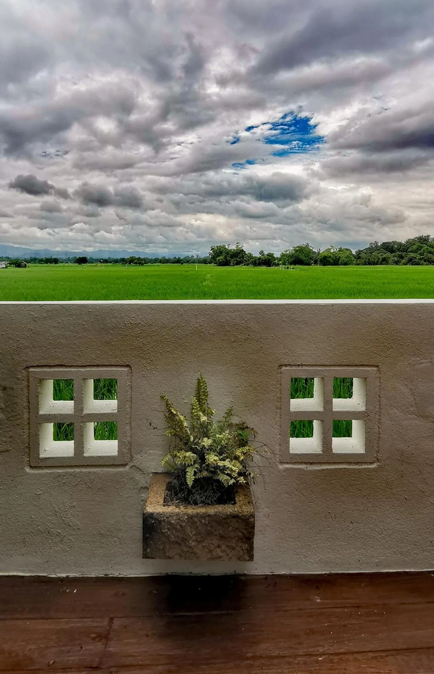 Natural landscape in Rice Villa Chiang Mai