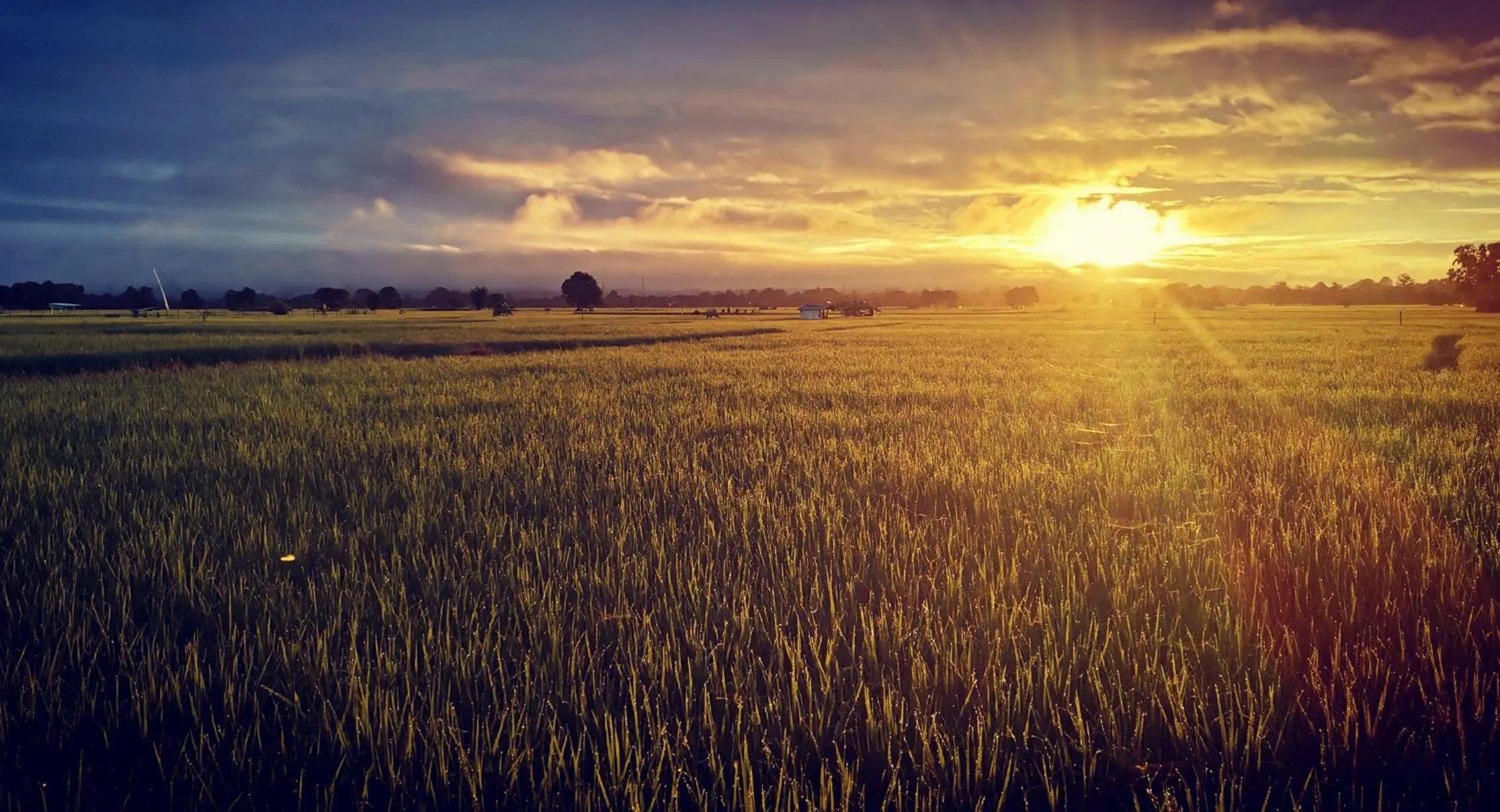 Property building in Rice Villa Chiang Mai