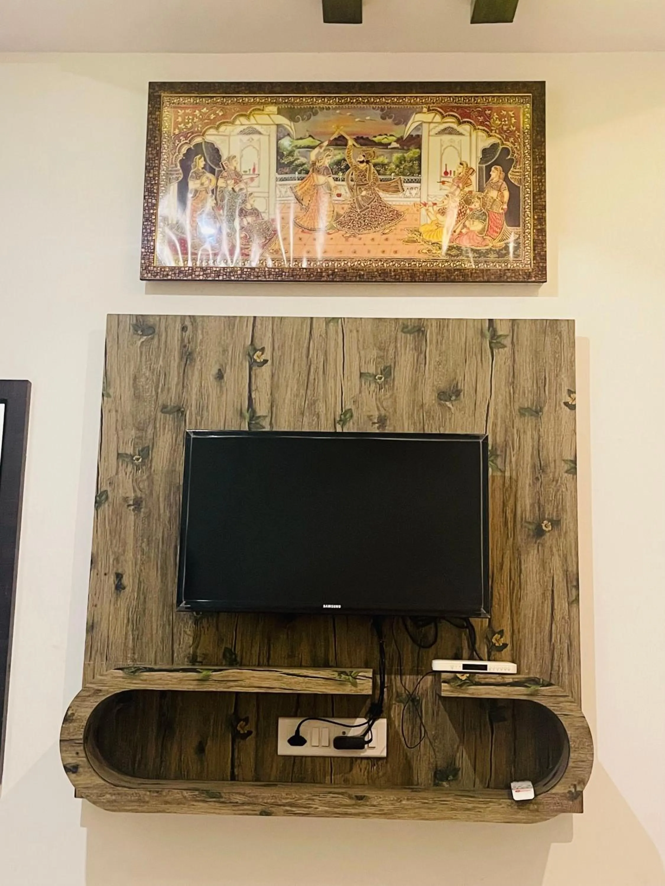 TV and multimedia in Hotel Raj Palace