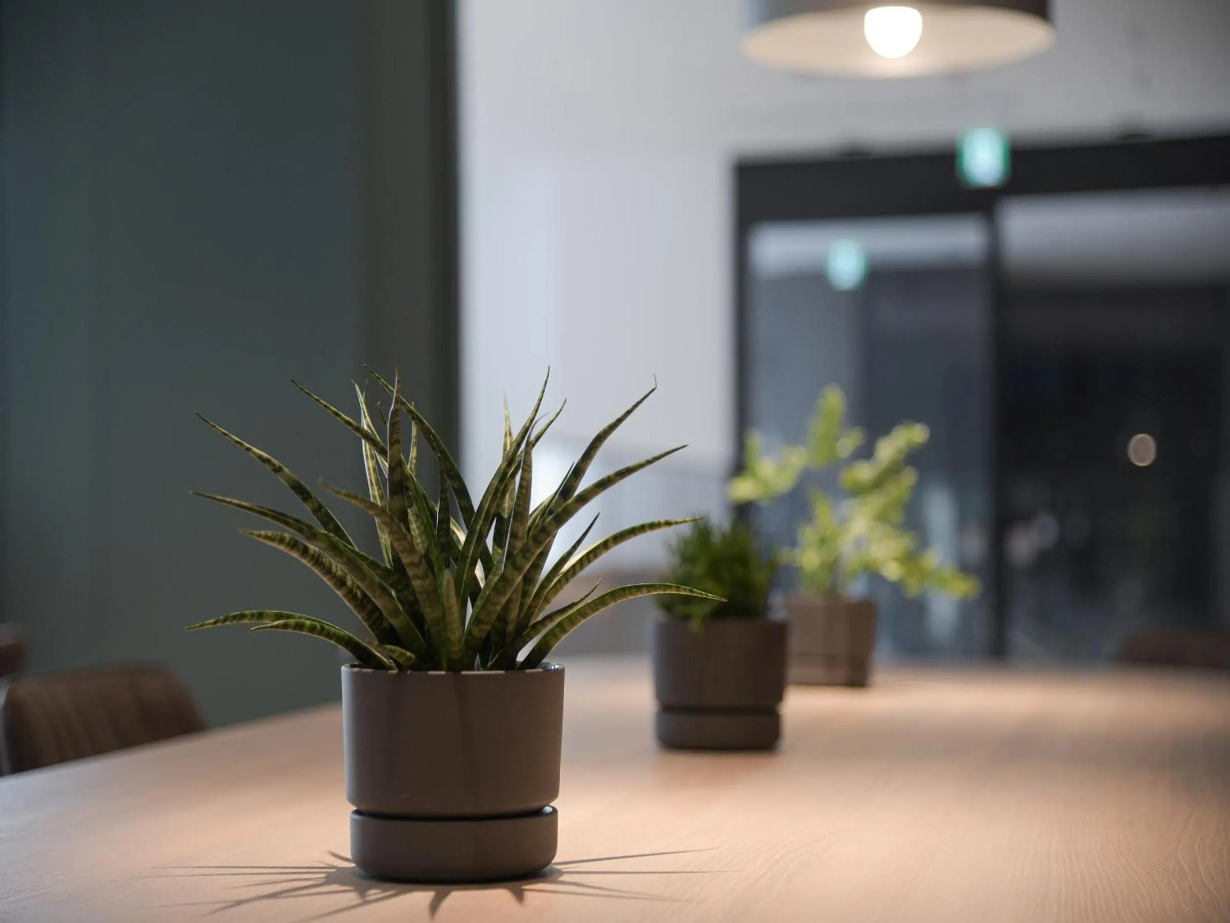 Lounge or bar in Vessel Inn Takadanobaba Station