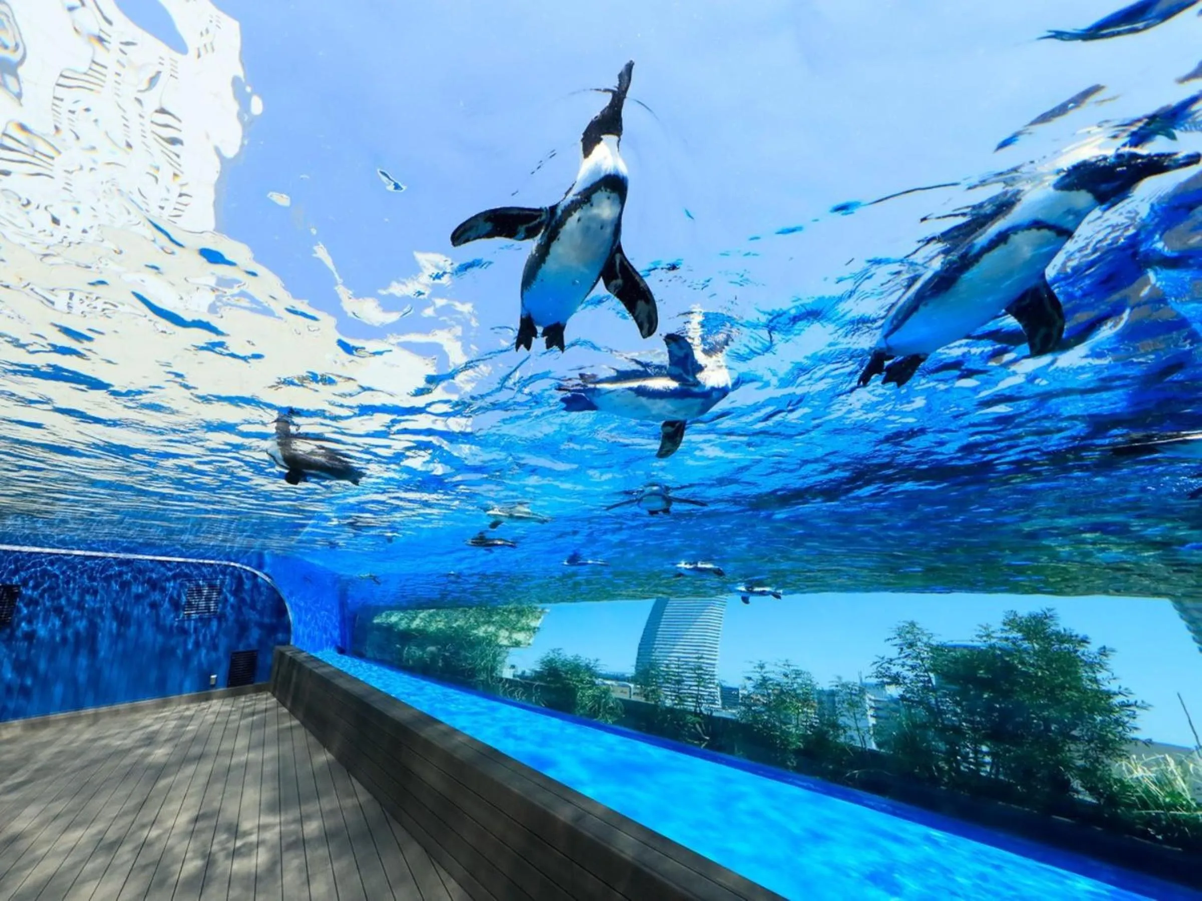 Nearby landmark in Vessel Inn Takadanobaba Station