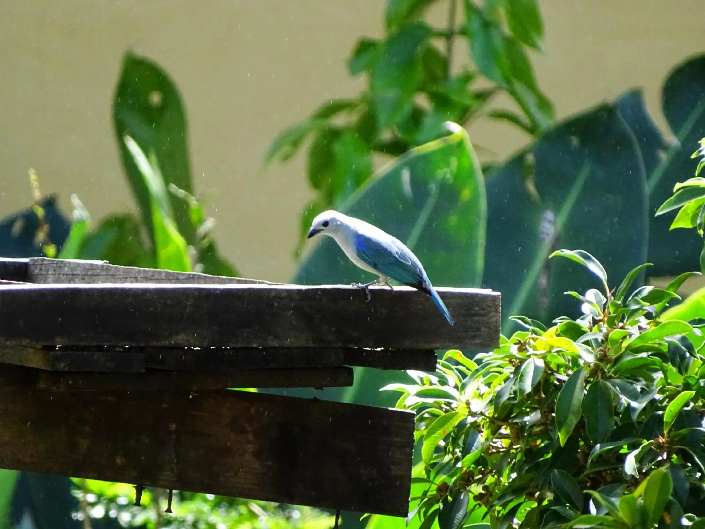 Miztli Lodge & Adventure