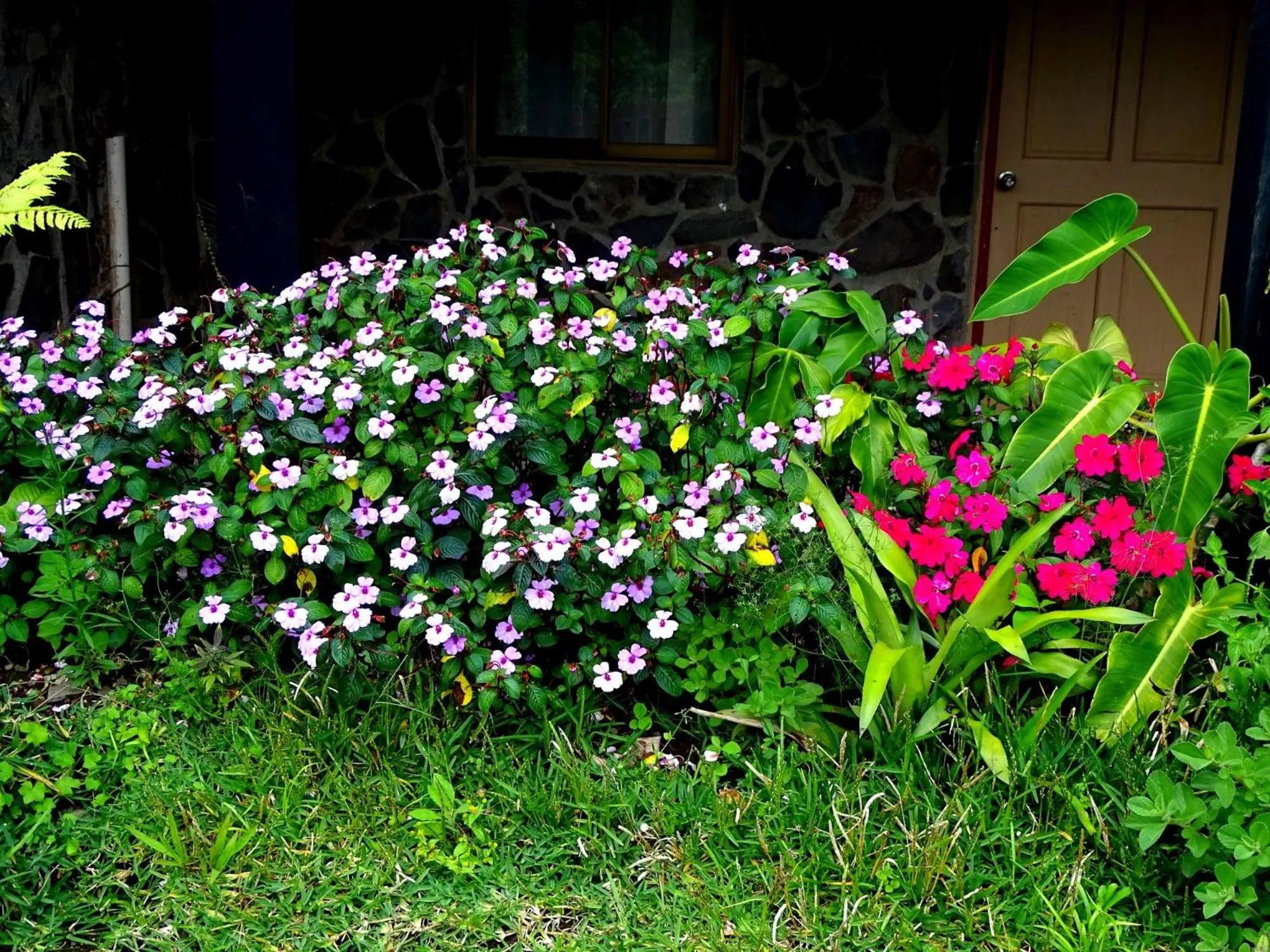 Garden in Miztli Lodge & Adventure