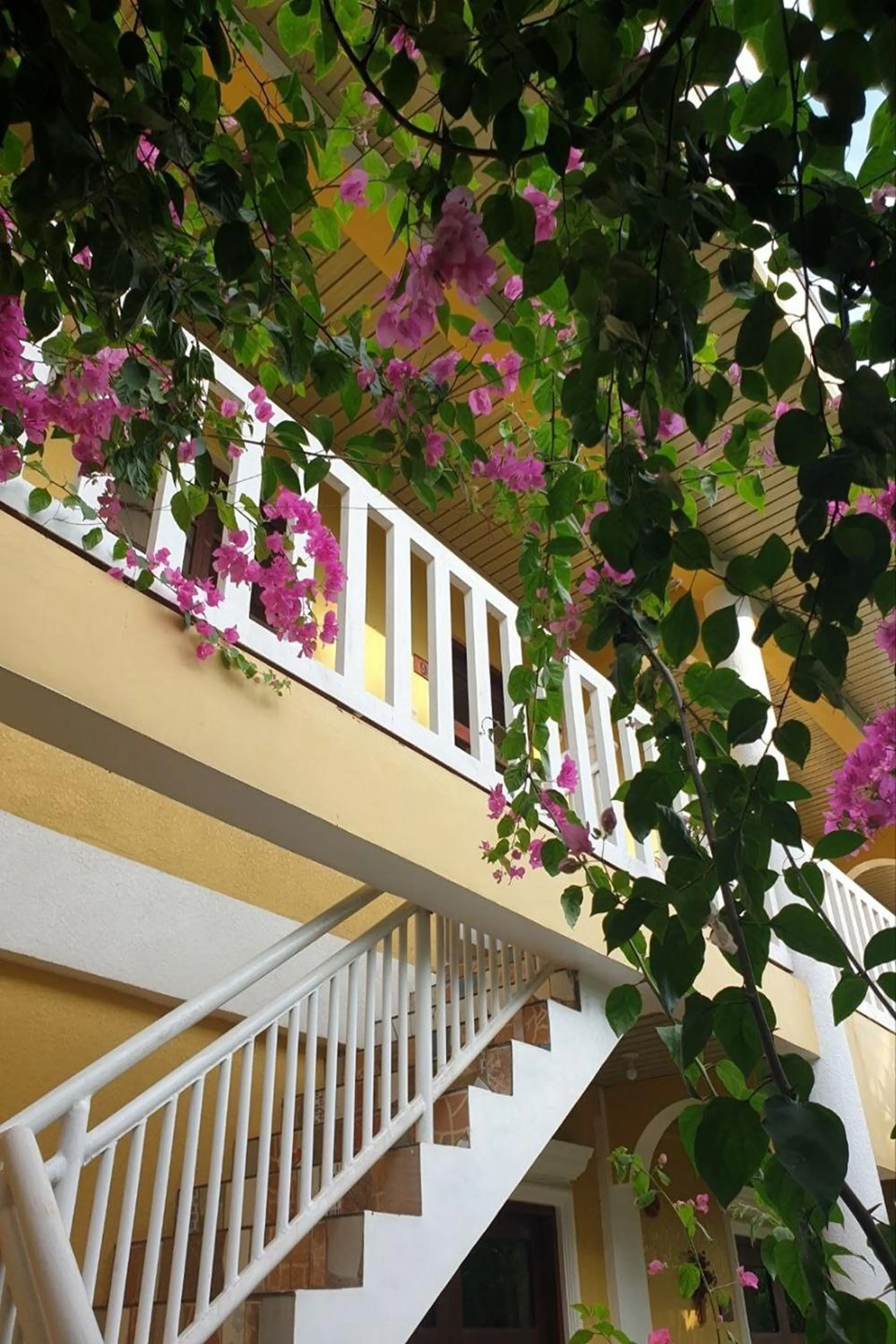 Garden view in Hanbee's Resort Puerto Princesa Palawan