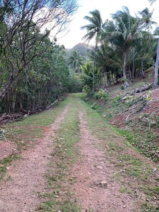 Natural landscape in Villa Moana
