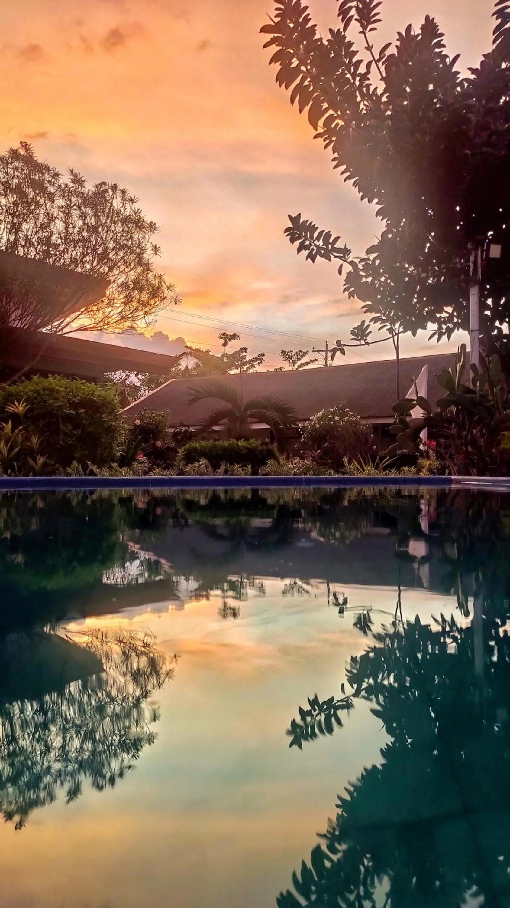 Pool view in SEAVIEW BEACH RESORT