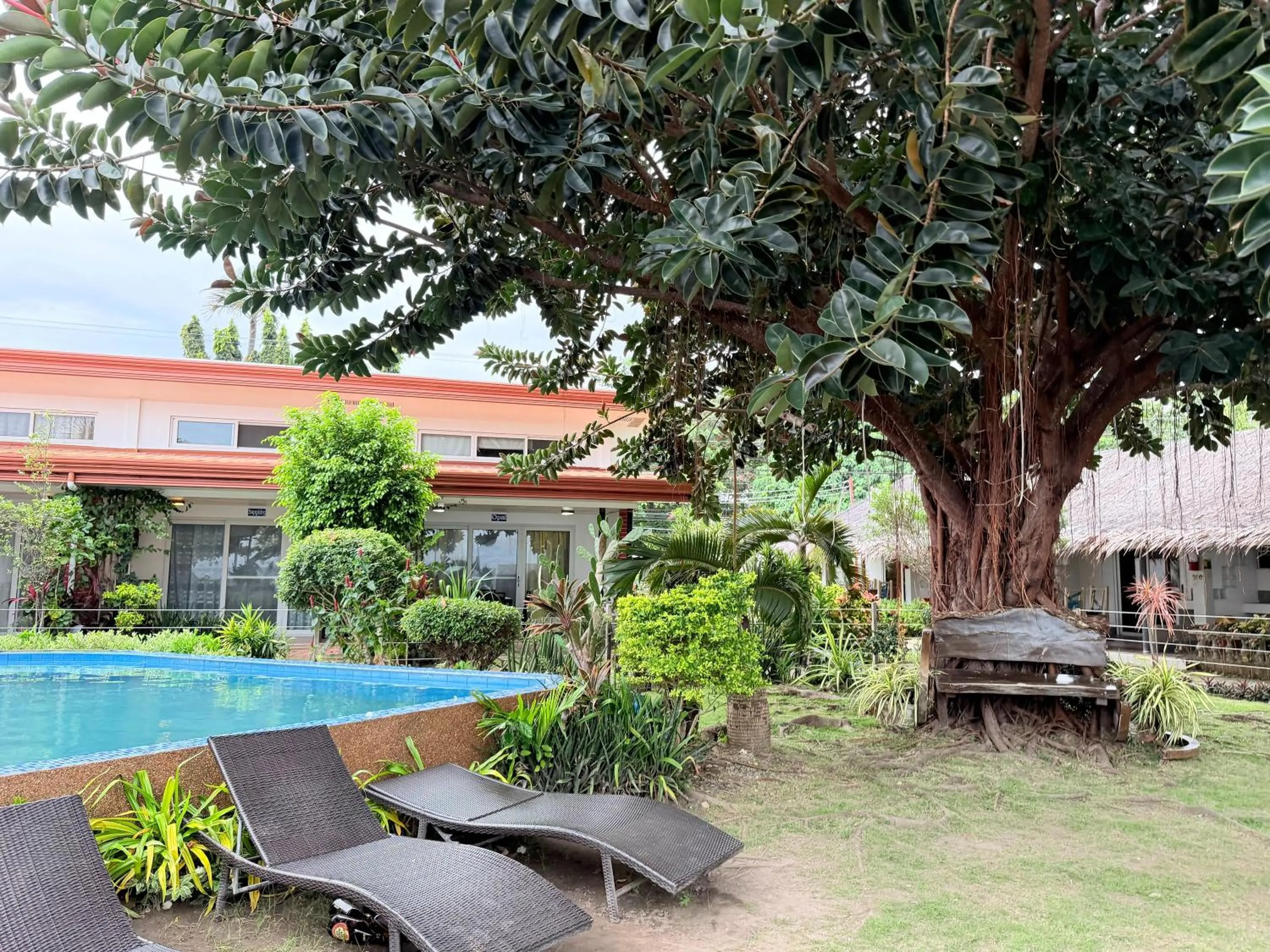 Area and facilities in SEAVIEW BEACH RESORT