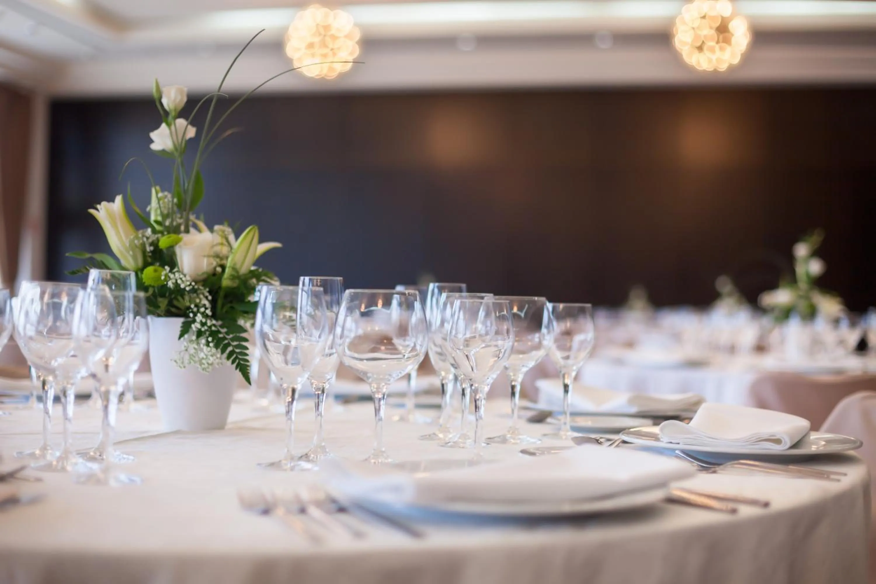 Banquet/Function facilities in Occidental Aranjuez