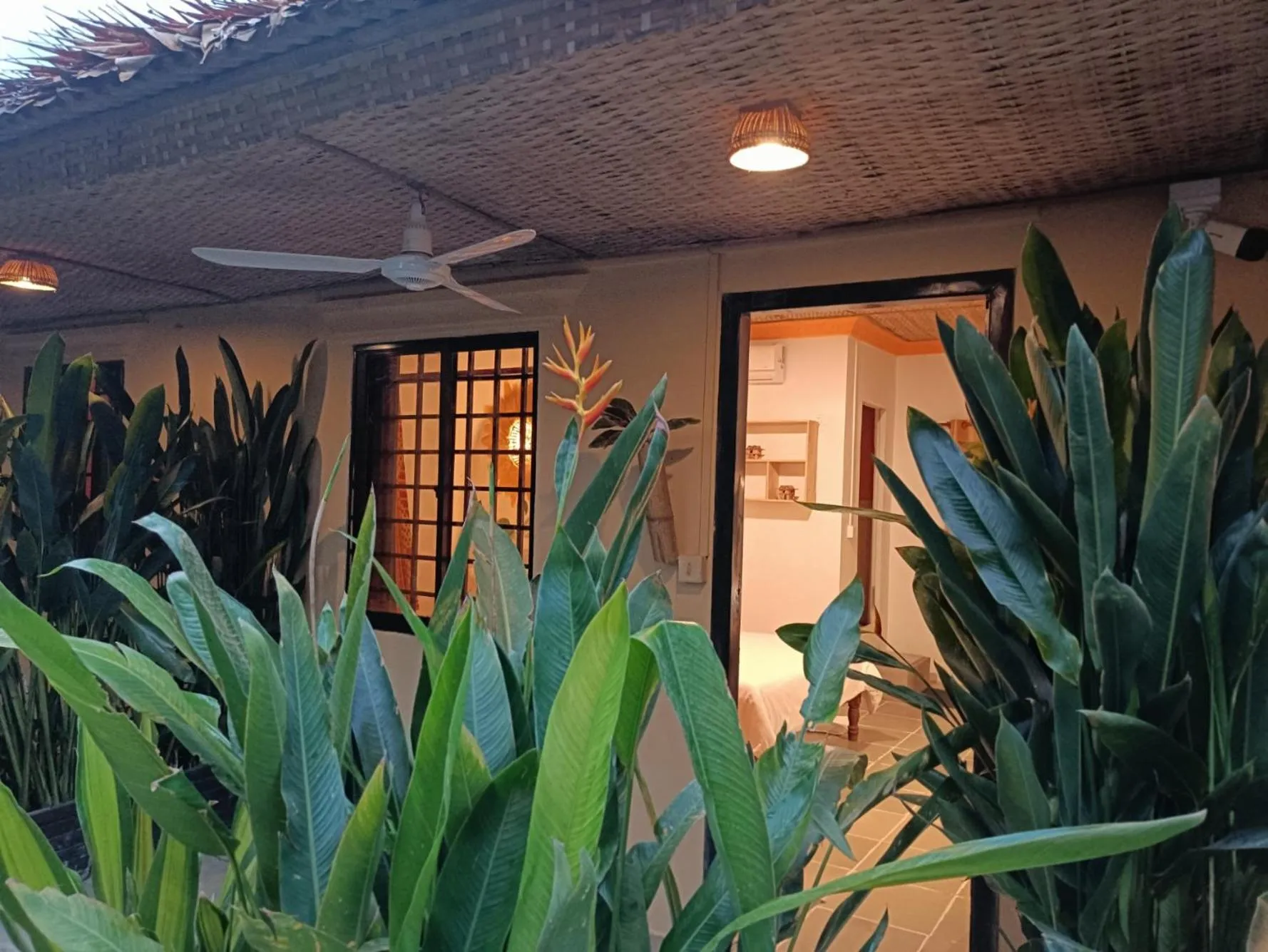 Day in Siem Reap Homesteading II