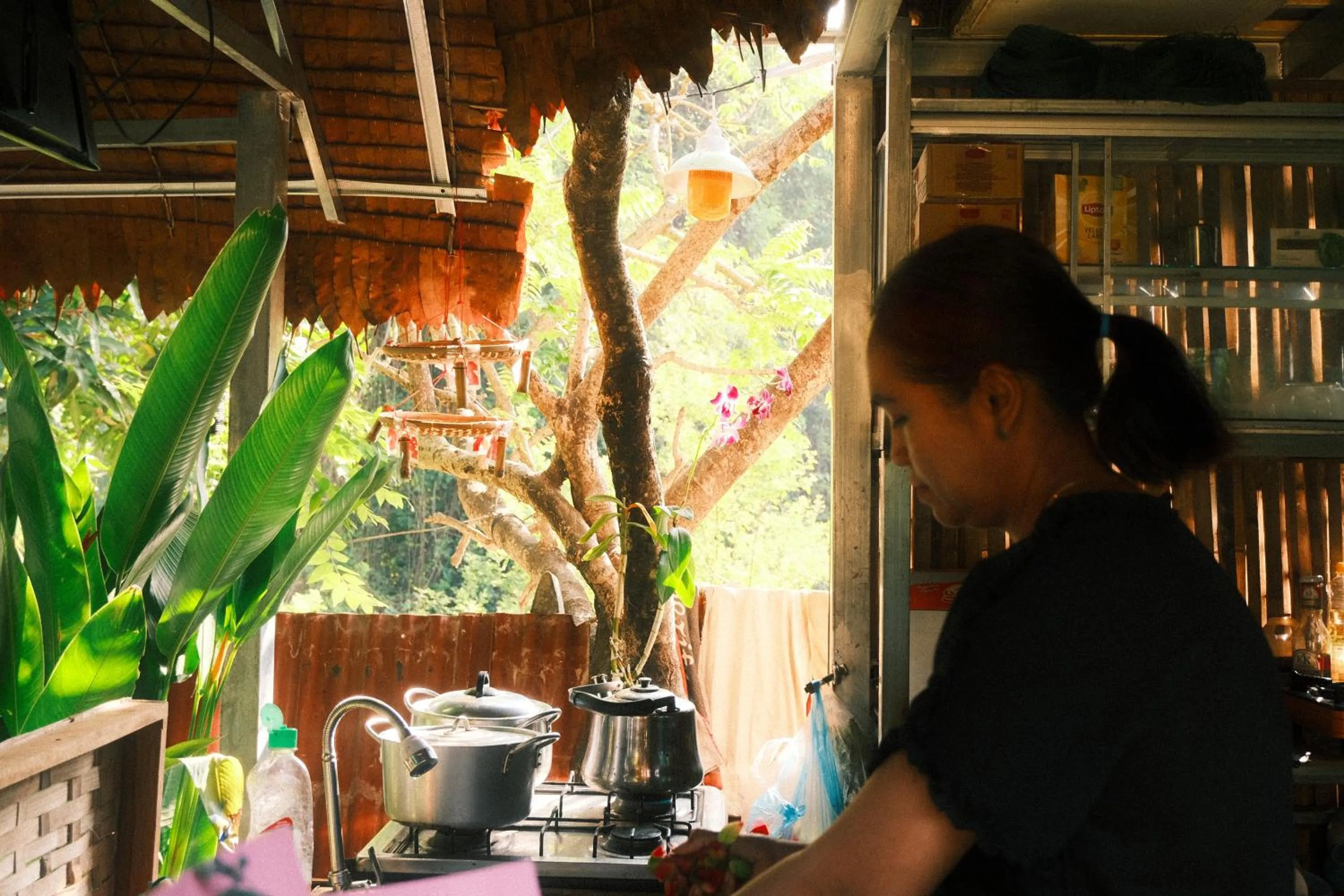 Kitchen or kitchenette in Siem Reap Homesteading II