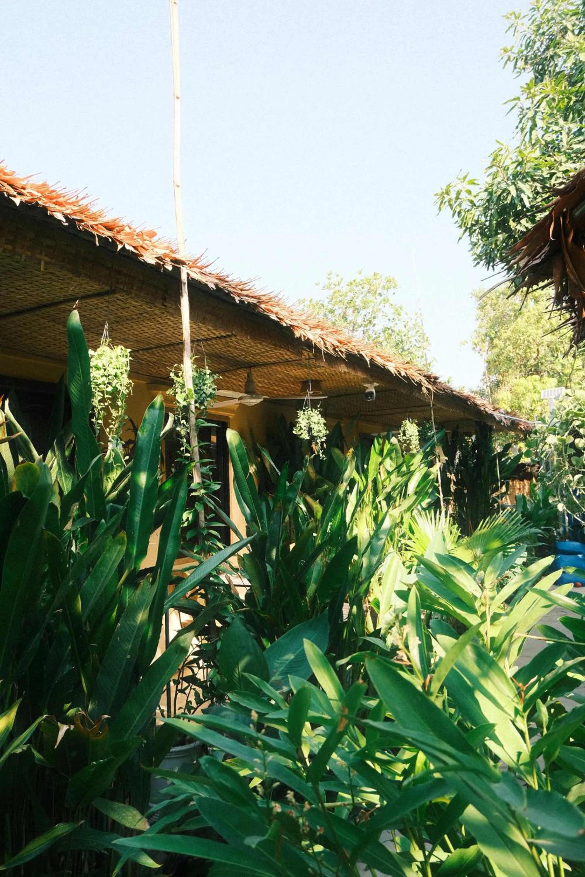 Property building in Siem Reap Homesteading II