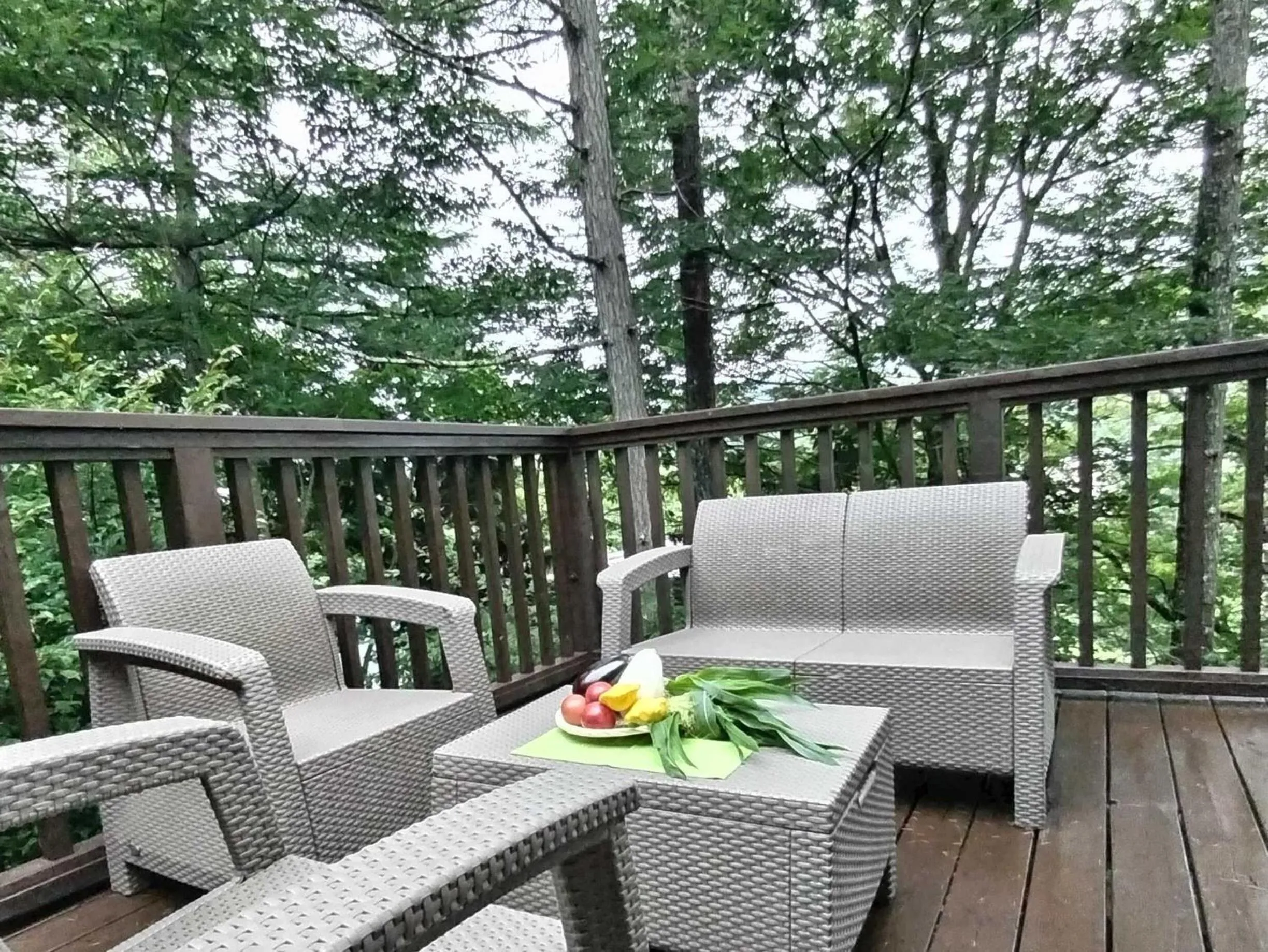 Suite Villa Yamanakako