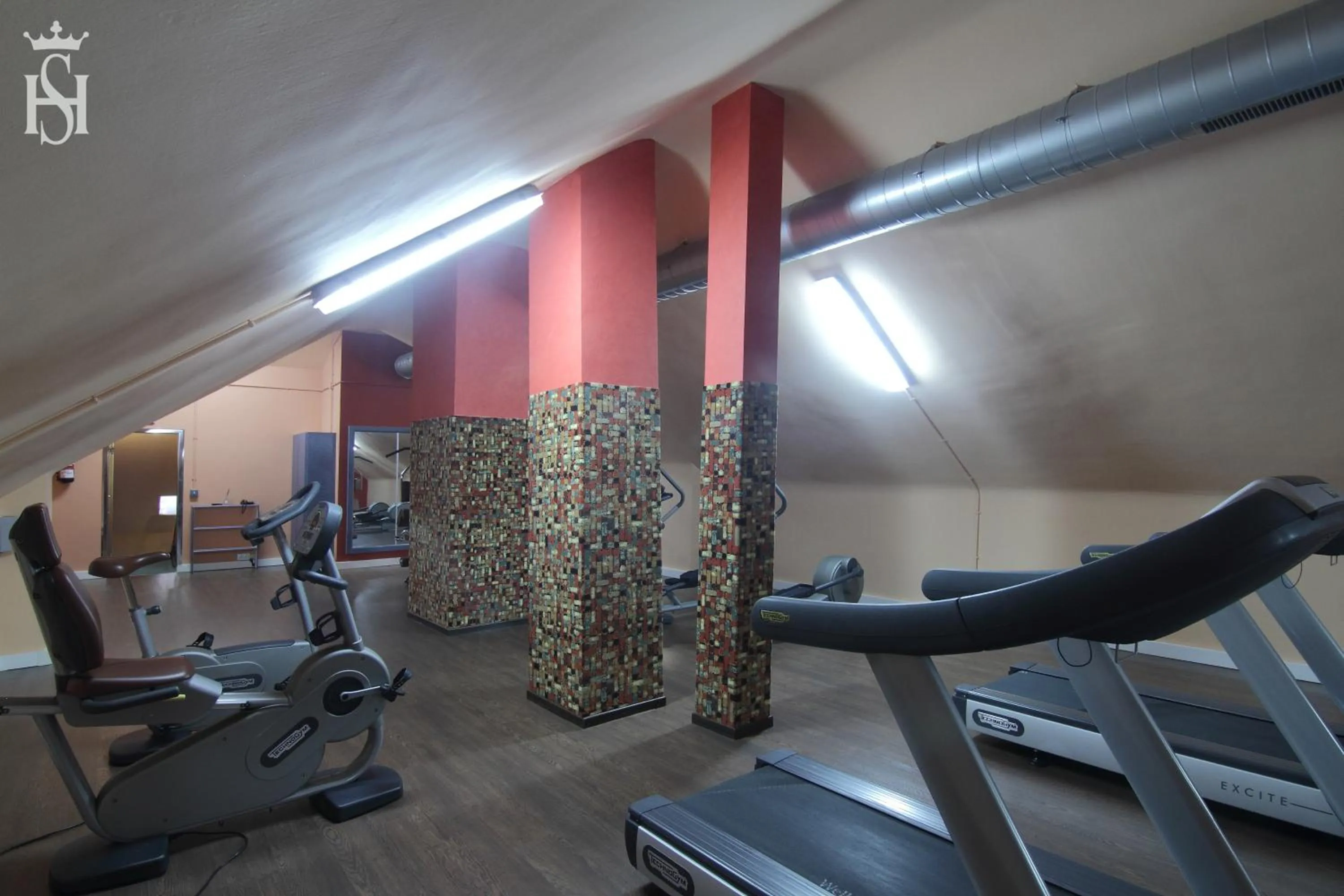 Fitness centre/facilities in Hospedium Hotel Europa Centro