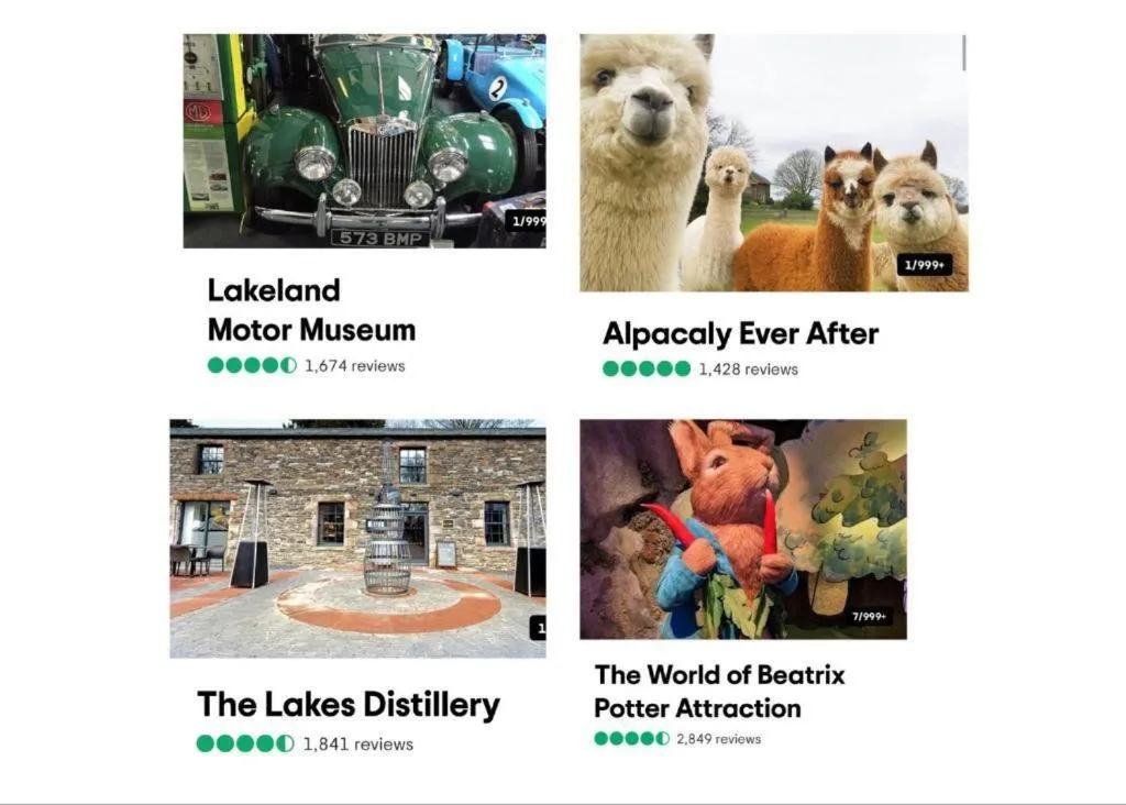 Activities in The Berry Boutique