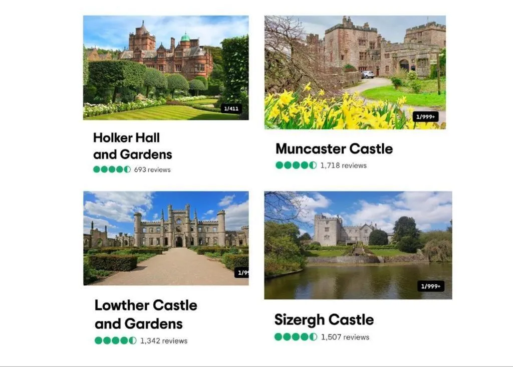 Activities in The Berry Boutique