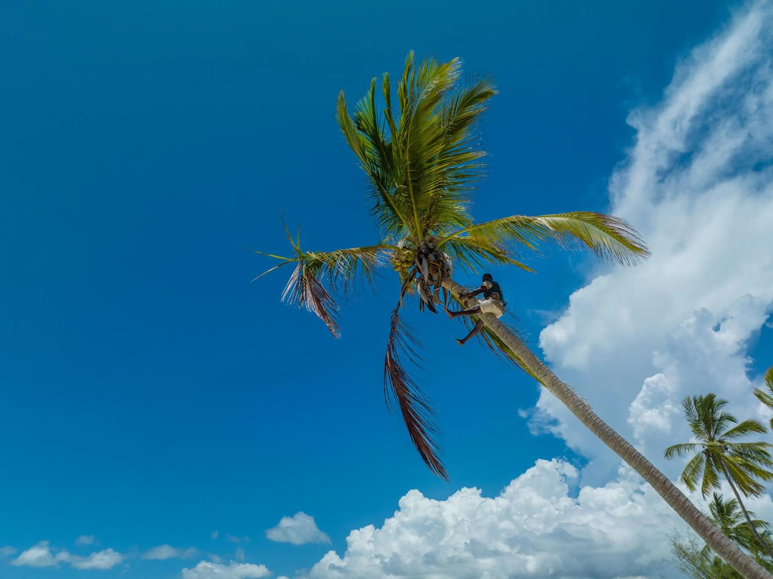 Day in F-Zeen Boutique Hotel Zanzibar