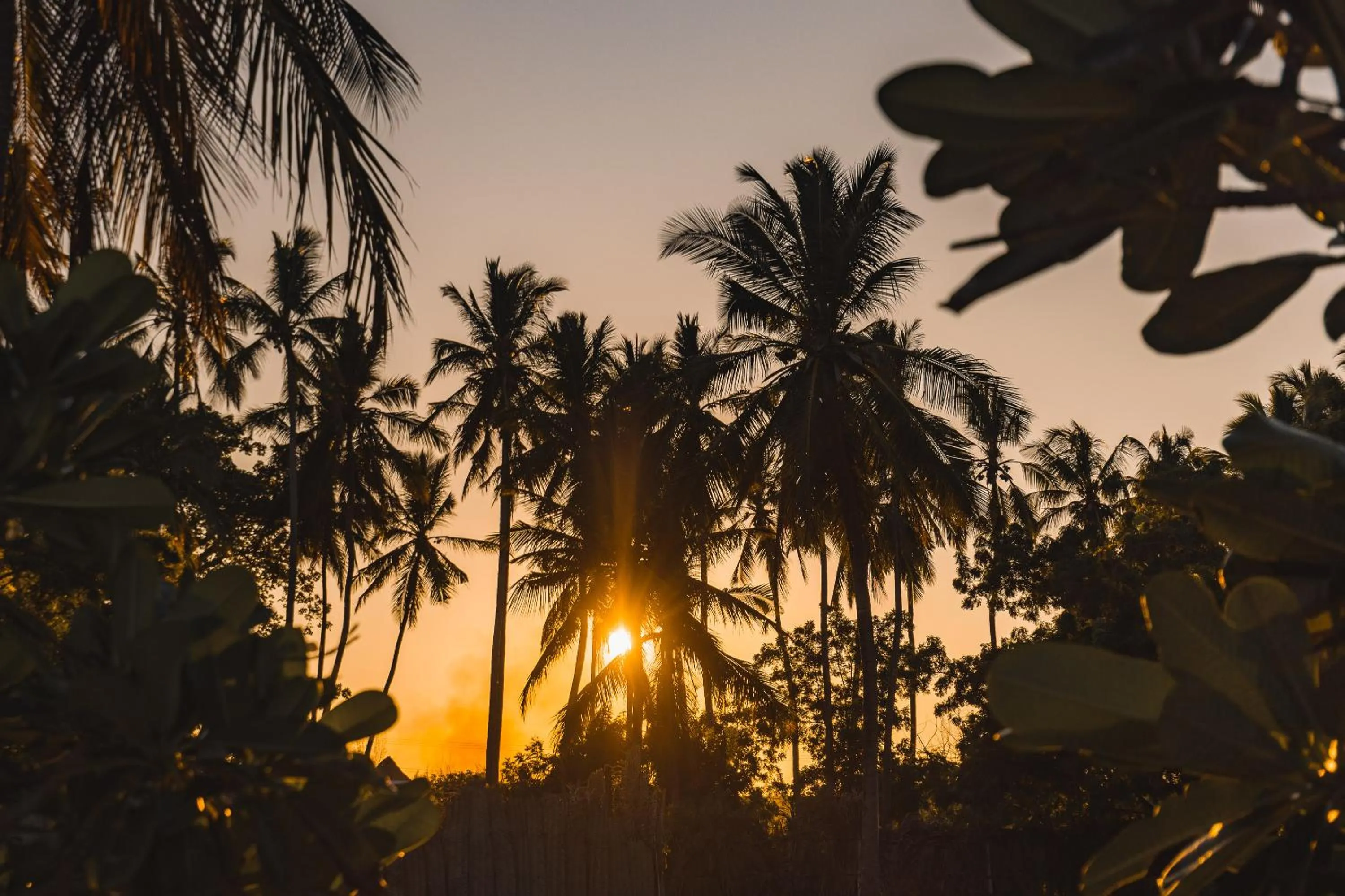 Natural landscape in F-Zeen Boutique Hotel Zanzibar