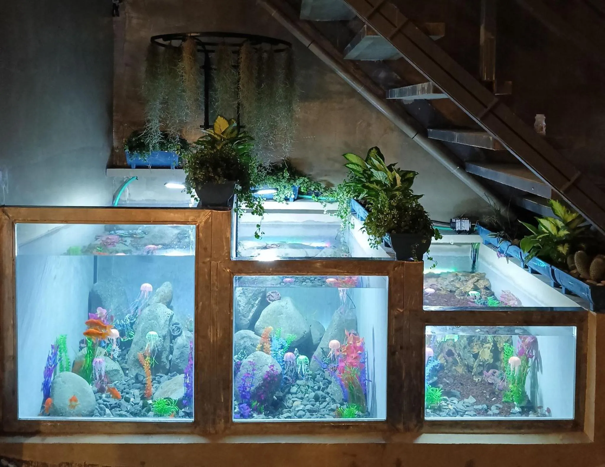 Property building in Misty Hills