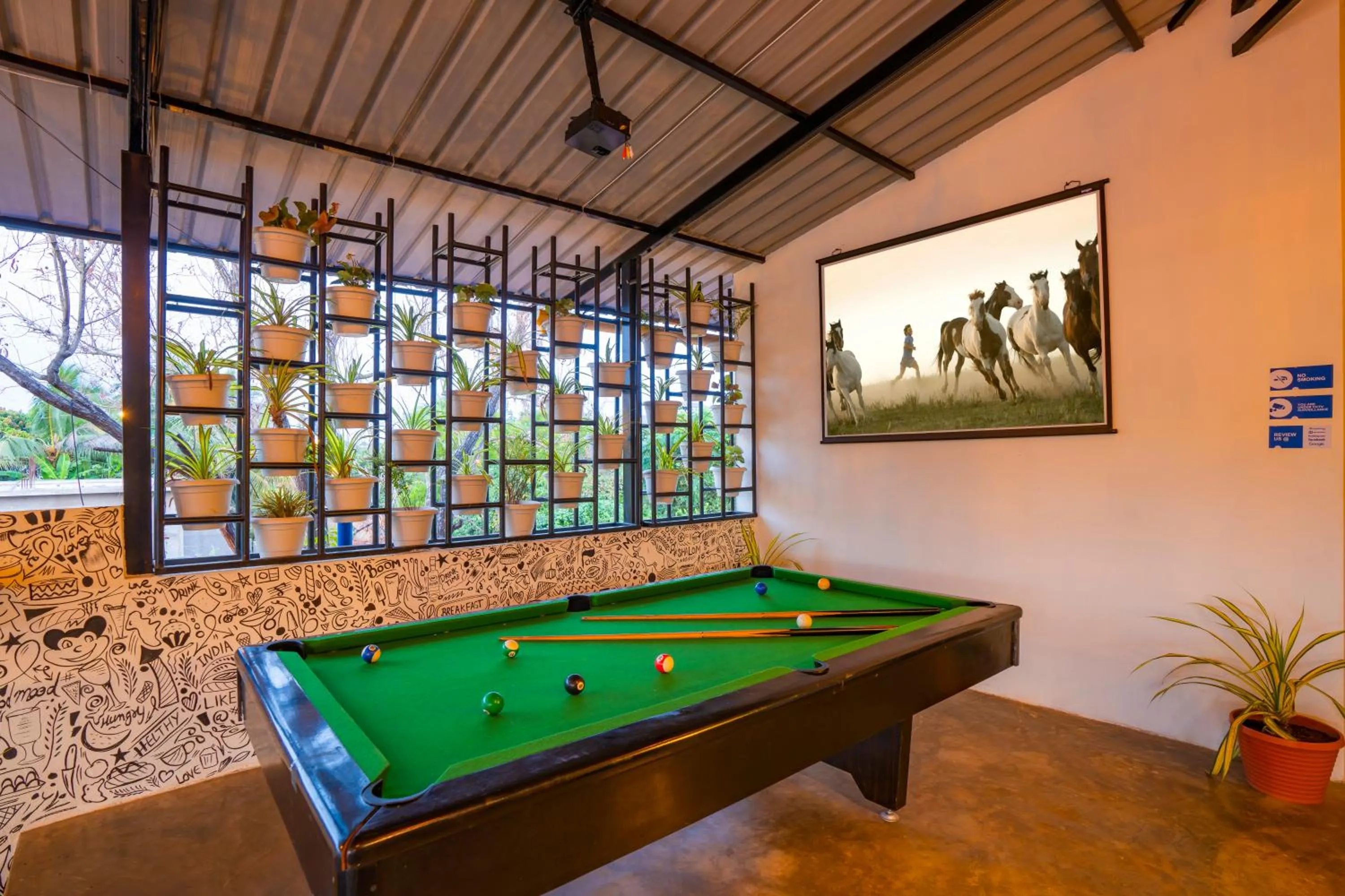 Billiard in Shalom Backpackers Anjuna Goa