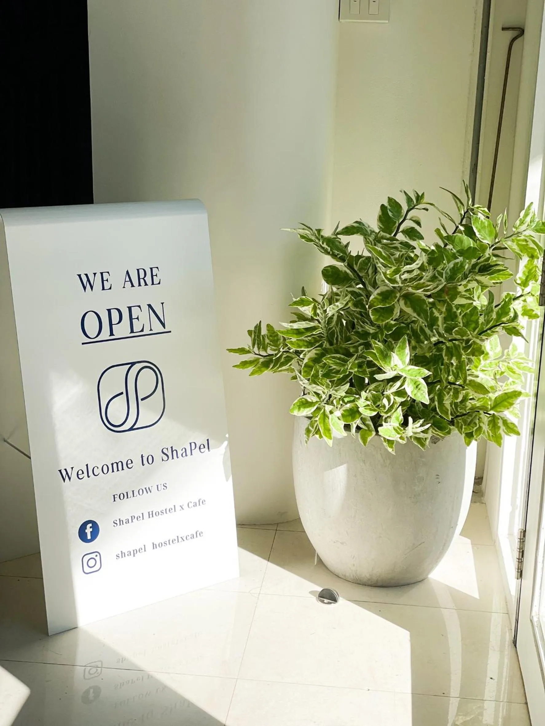 Lobby or reception in Shapel Hostel and Cafe