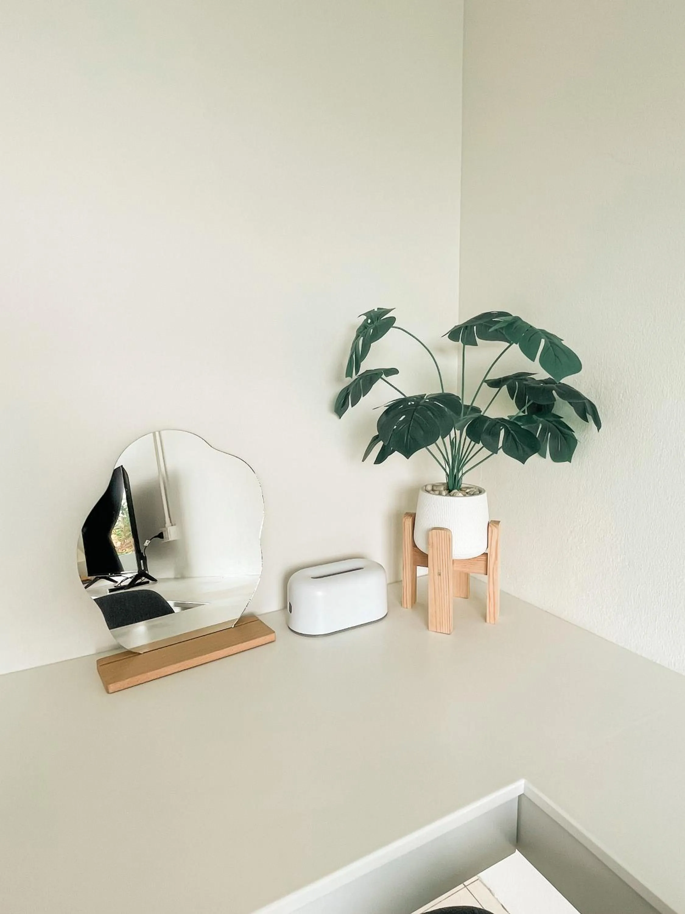 Area and facilities in Shapel Hostel and Cafe