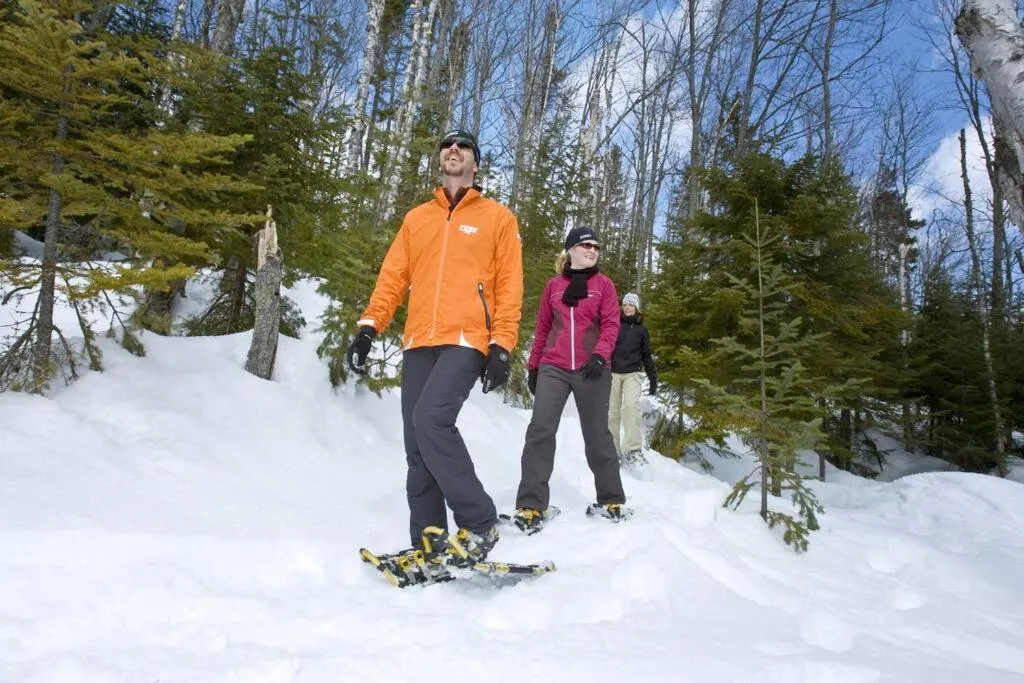 Natural landscape in Initial- Soeur No15 - MSA