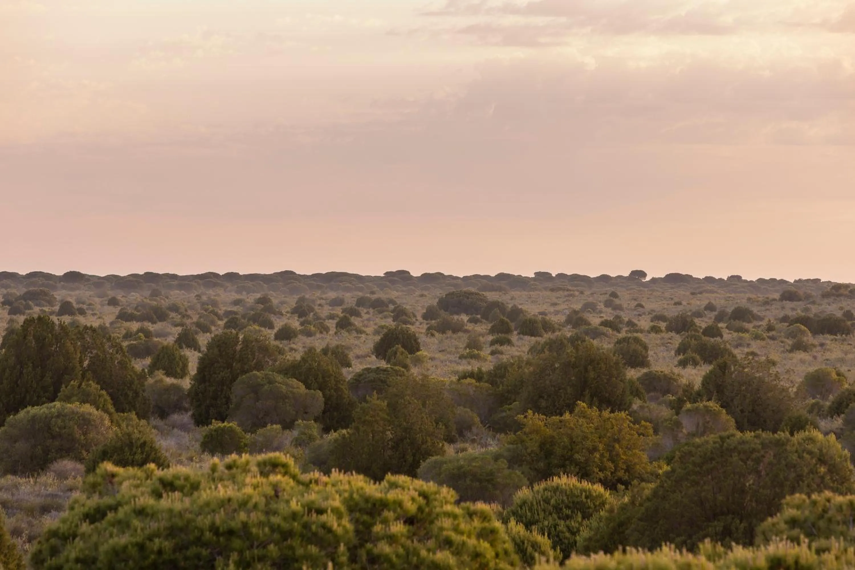 Moon Dreams El Cortijo