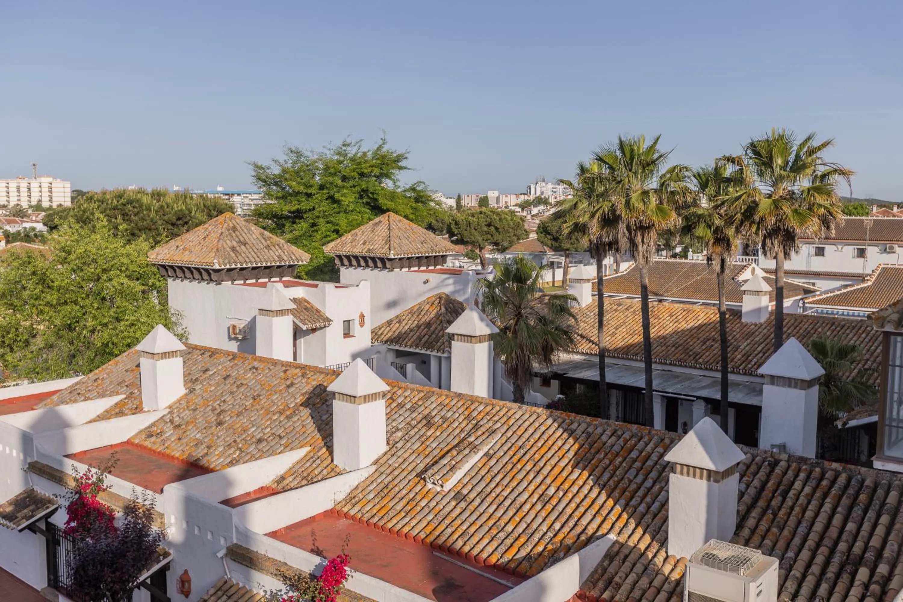 Moon Dreams El Cortijo