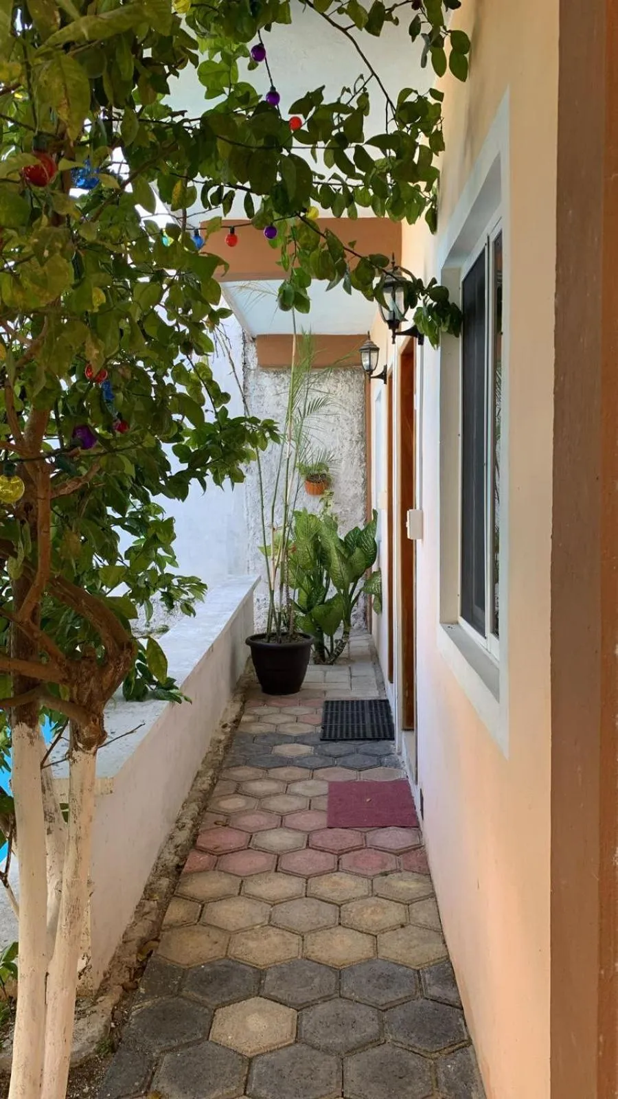 Property building in Casa Terracota