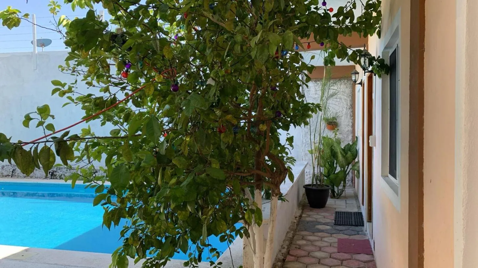 Pool view in Casa Terracota