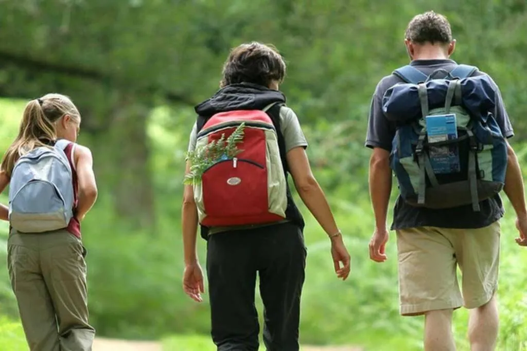 Natural landscape in Initial / Mano / MSA