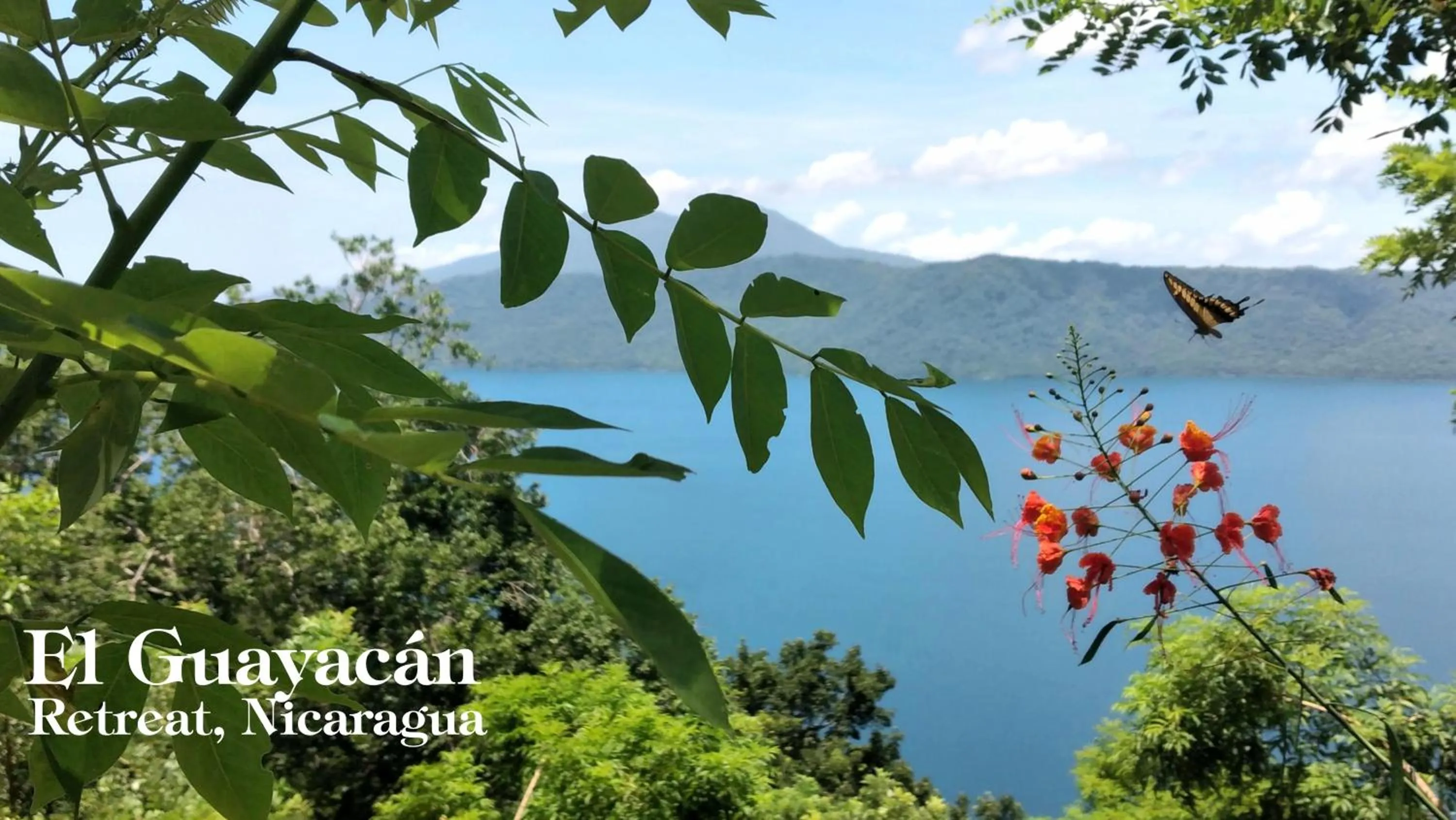 Natural landscape in El Guayacán