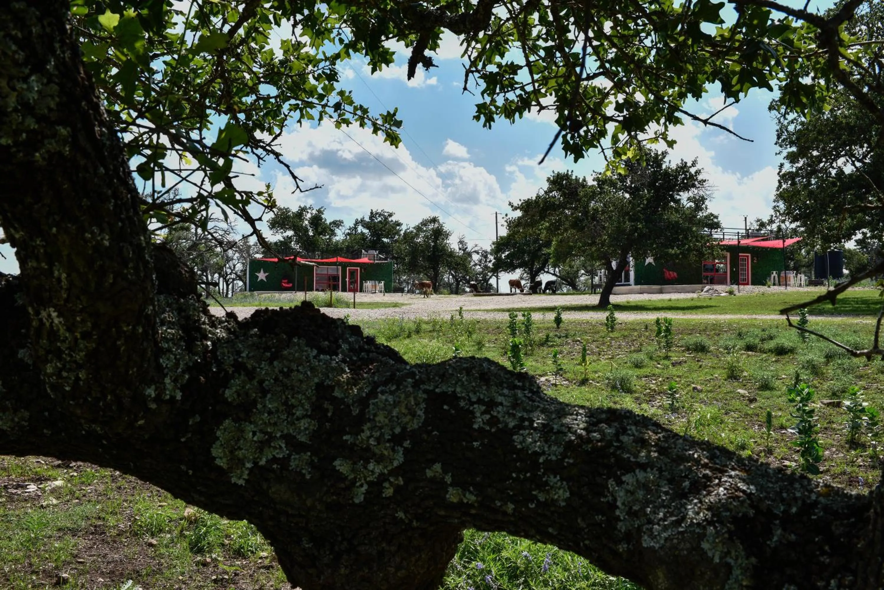 Property building in Best Little Fredericksburg Texas Bed And Breakfast