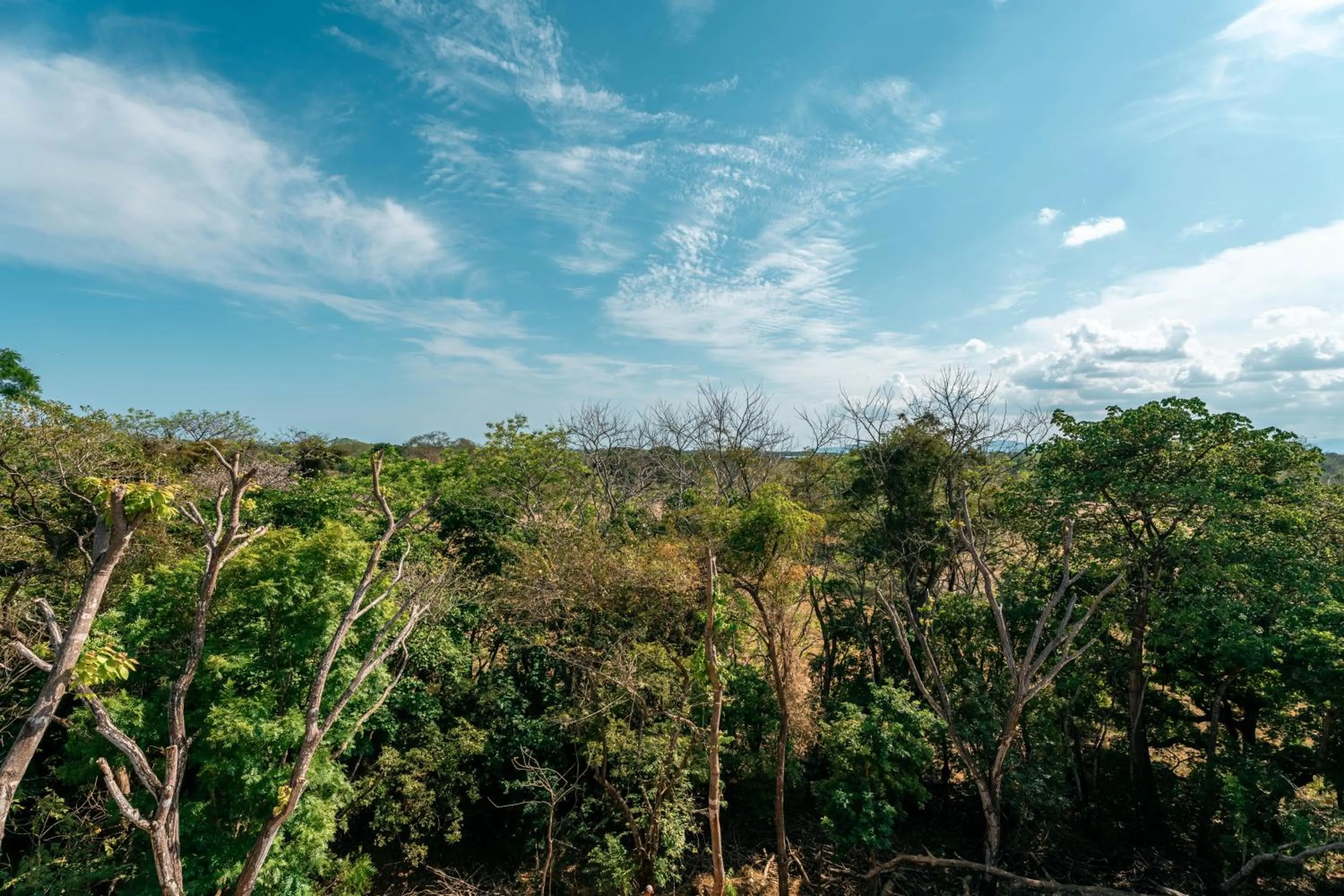 Natural landscape in Alaya Yoga & Surf & Retreat