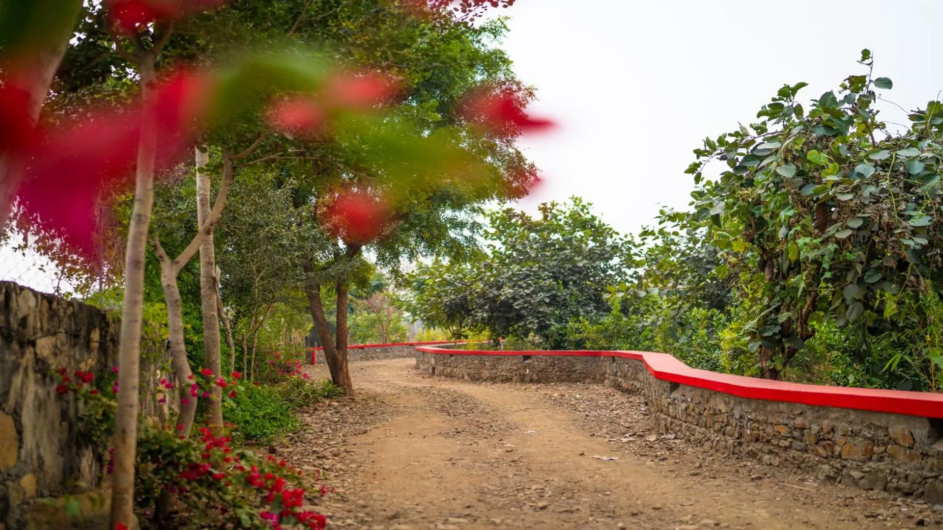 Activities in Guldaar Sariska - A luxury Forest Resort